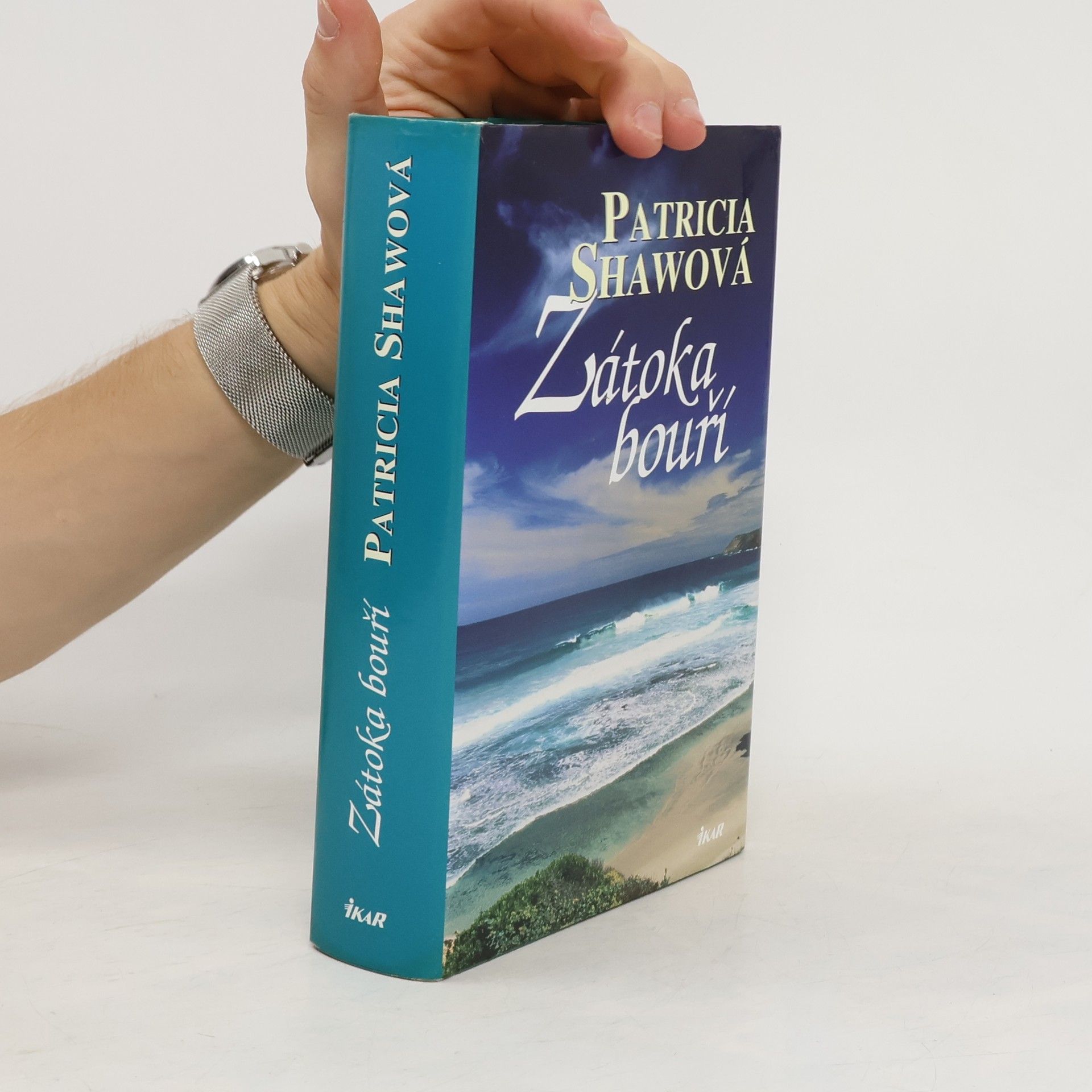 Patricia Shaw Zátoka bouří