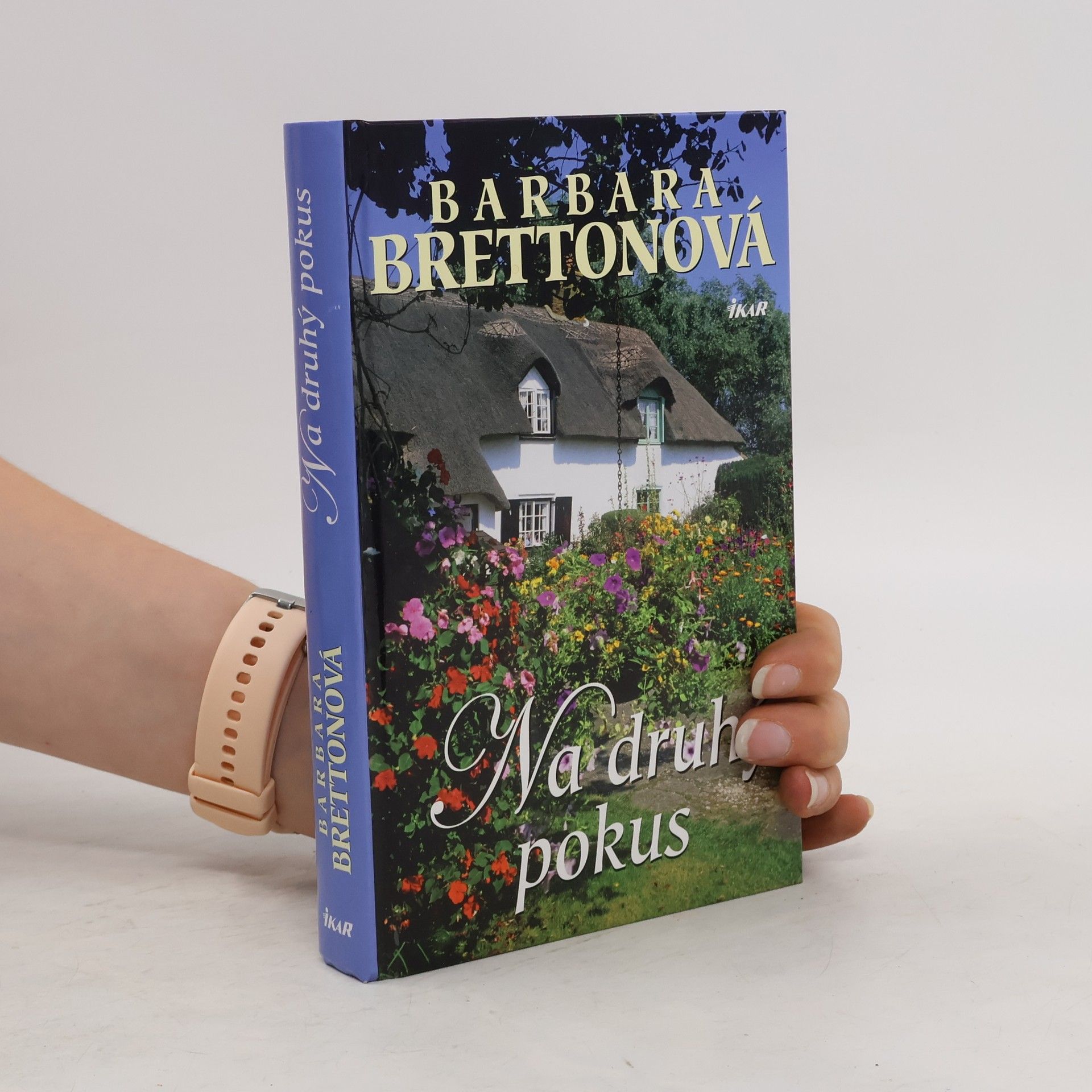 Barbara Bretton Na druhý pokus