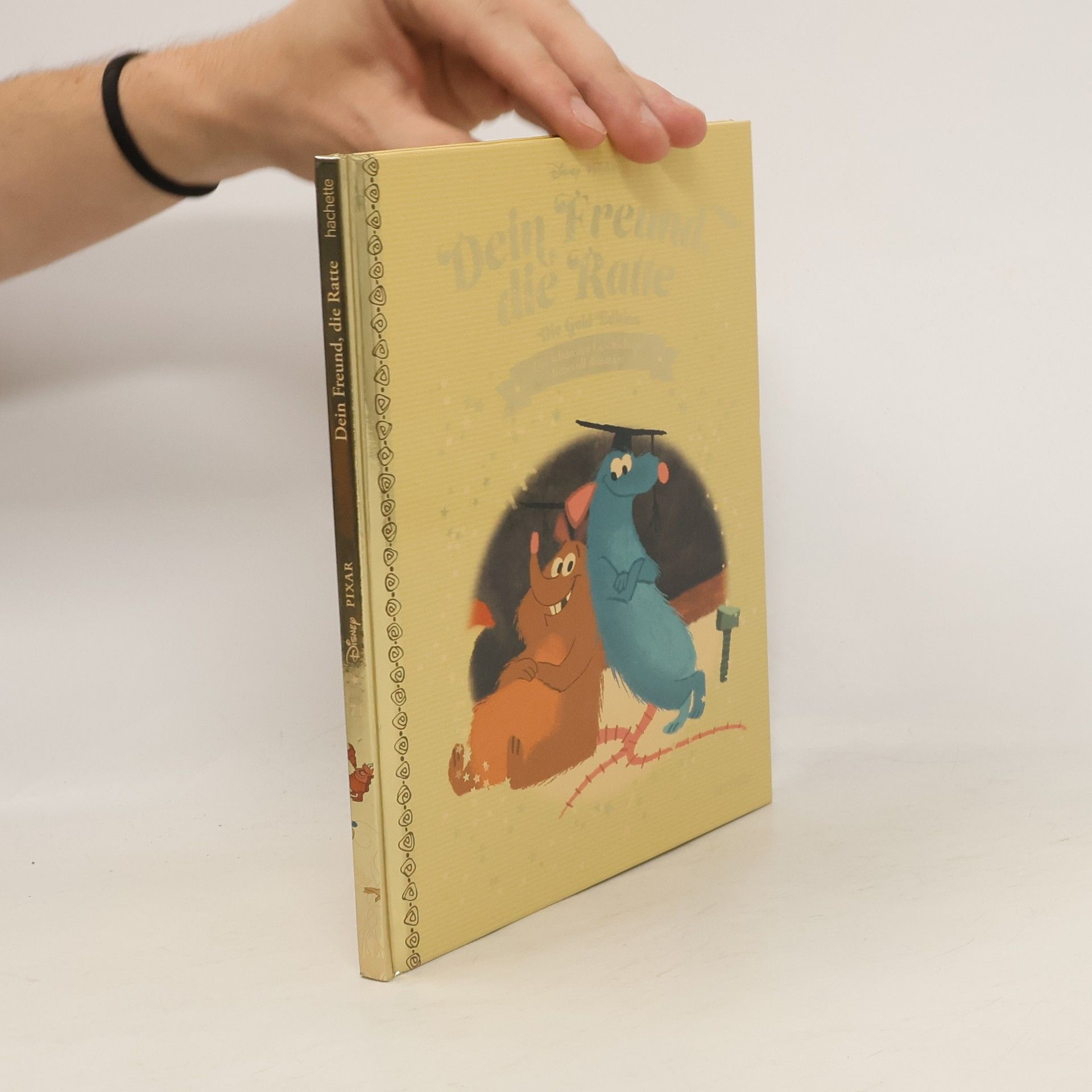 Autorenkollektiv Dein Freund, die Ratte
