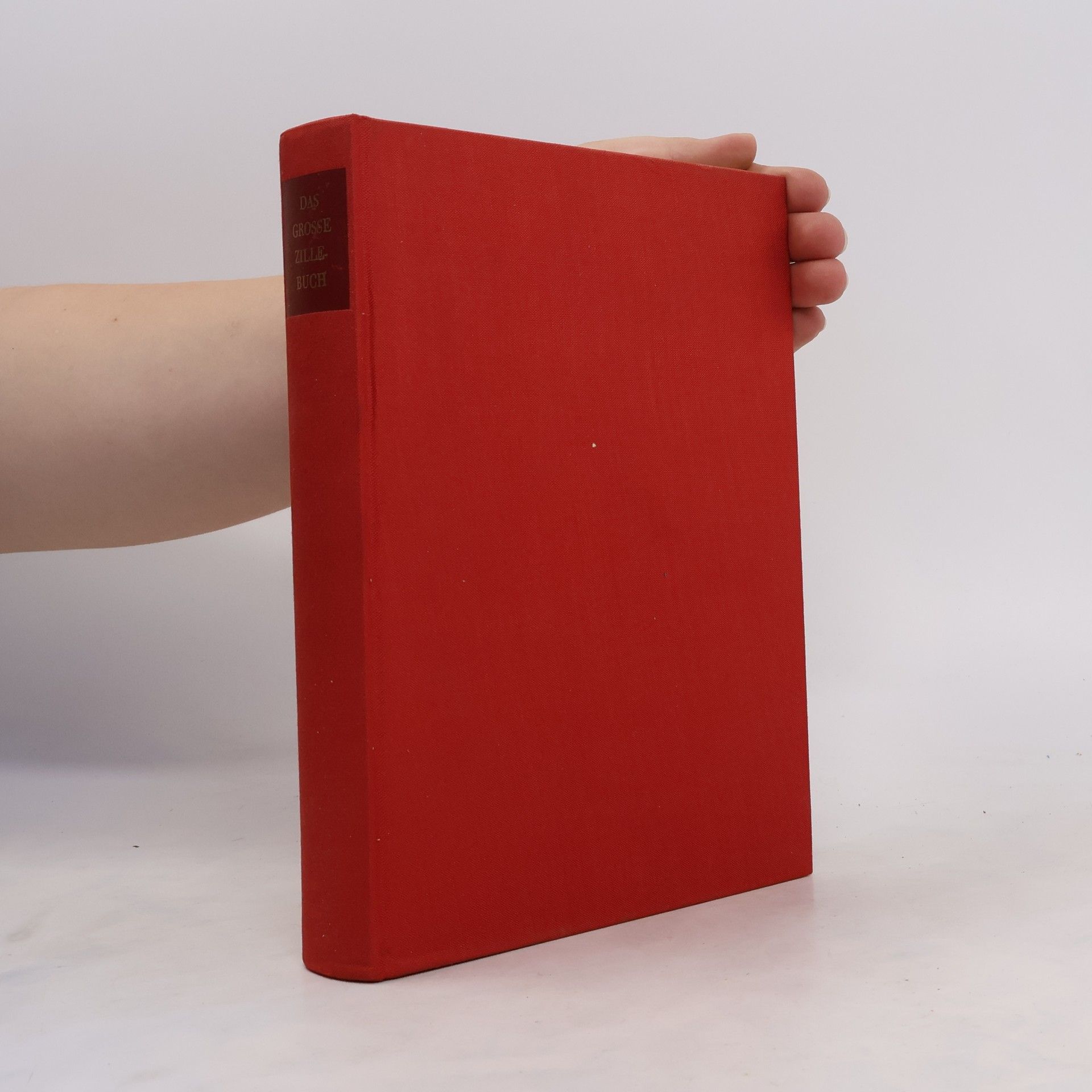 Heinrich Zille Das grosse Zillebuch