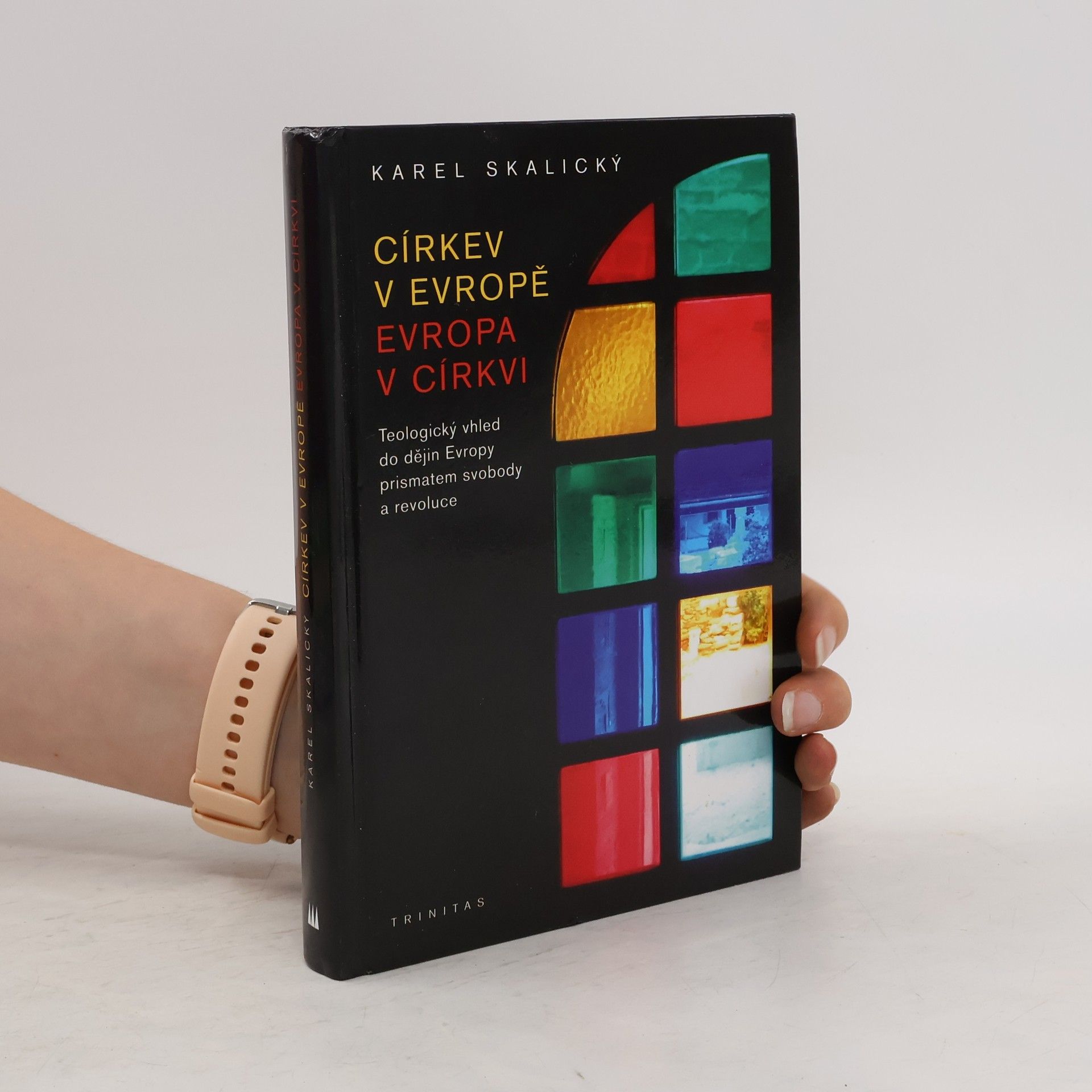 Karel Skalický Církev v Evropě. Evropa v církvi