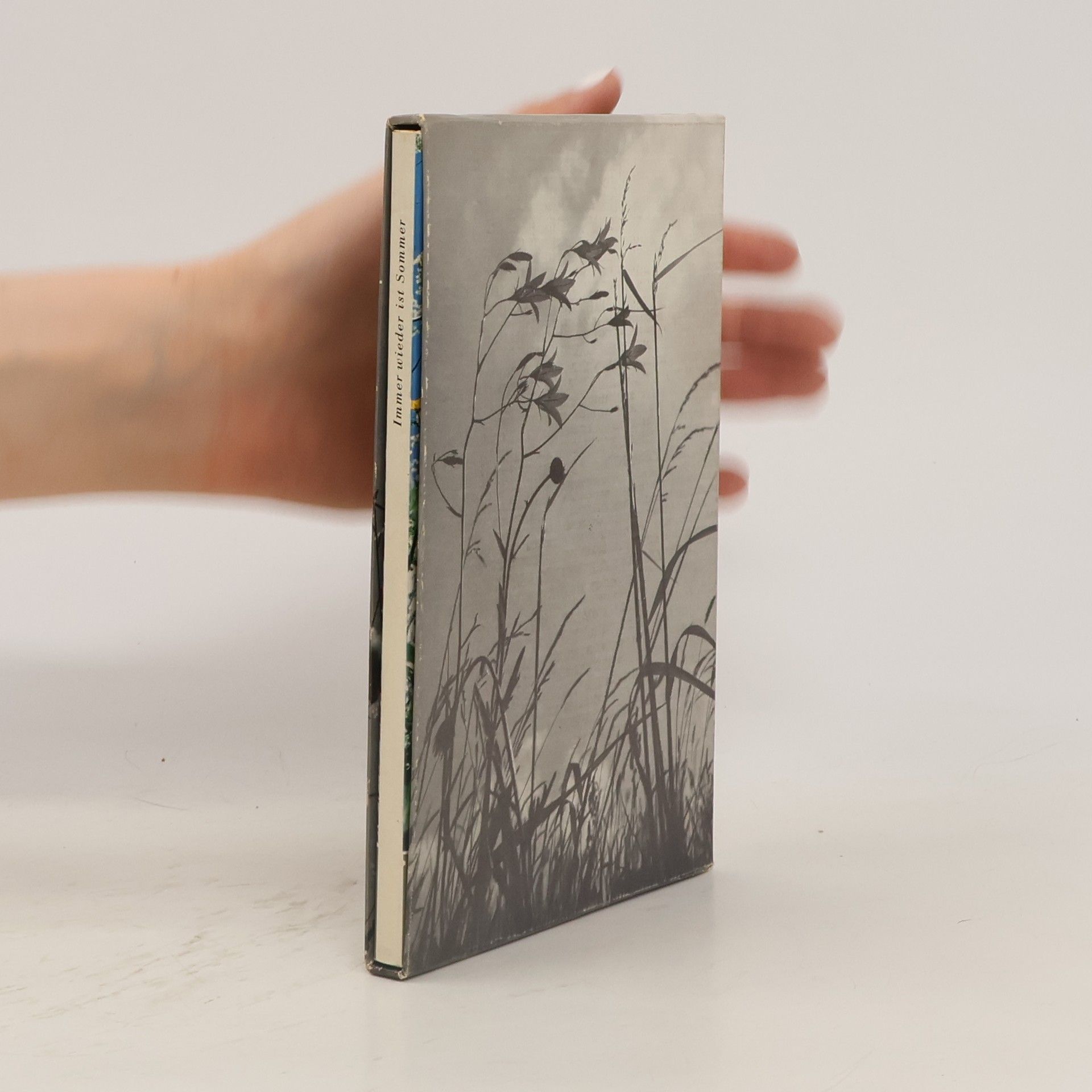 Immer wieder ist Sommer