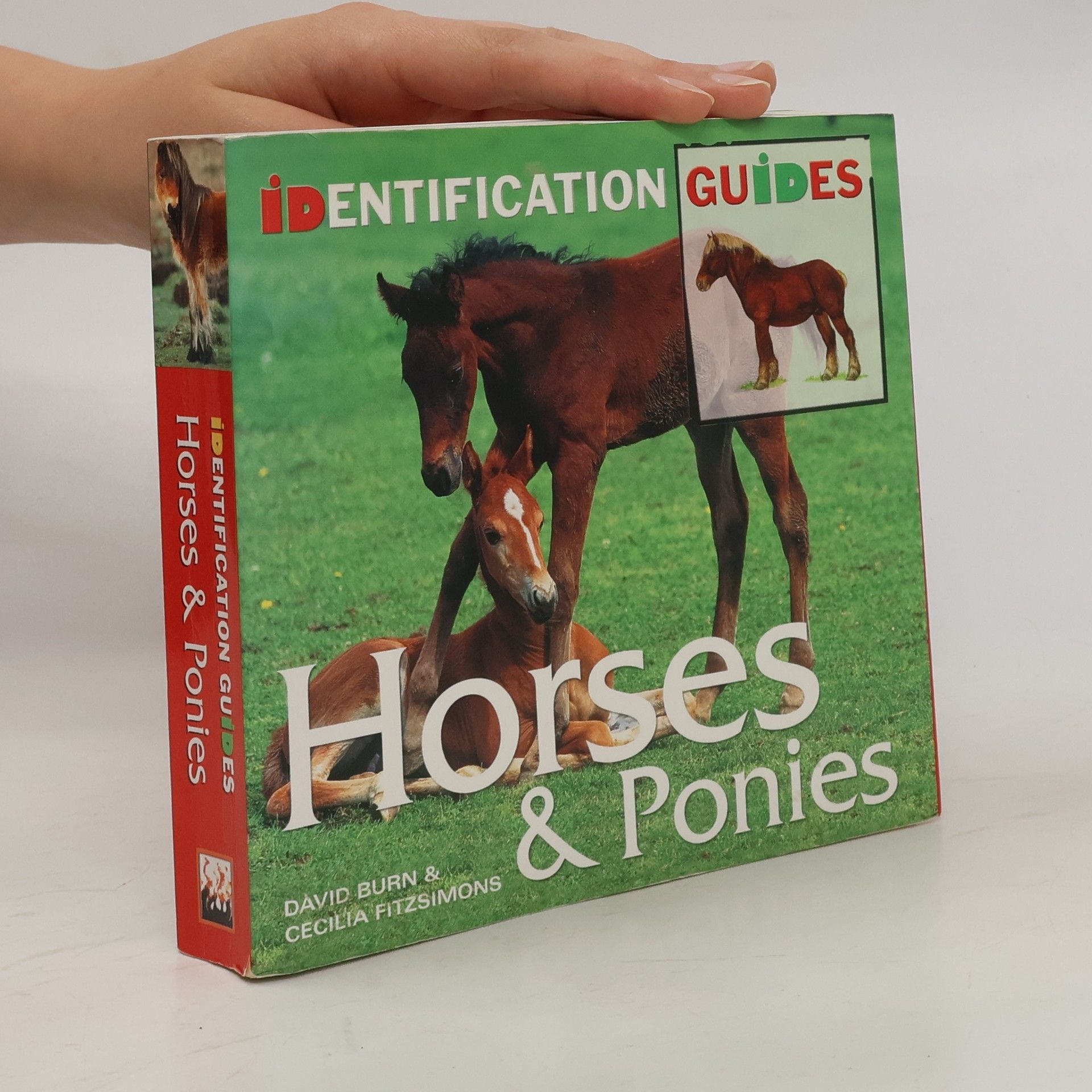 David Burn Horses & Ponies
