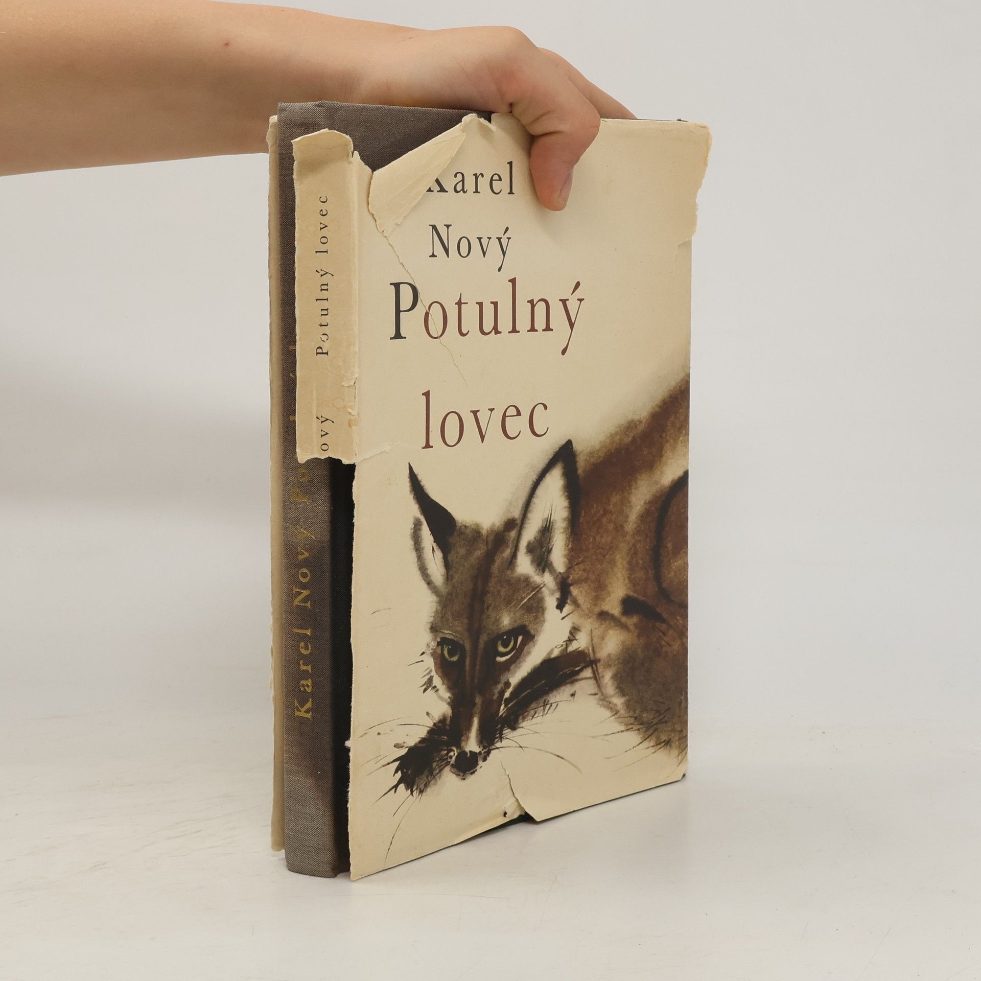 Karel Nový Potulný lovec
