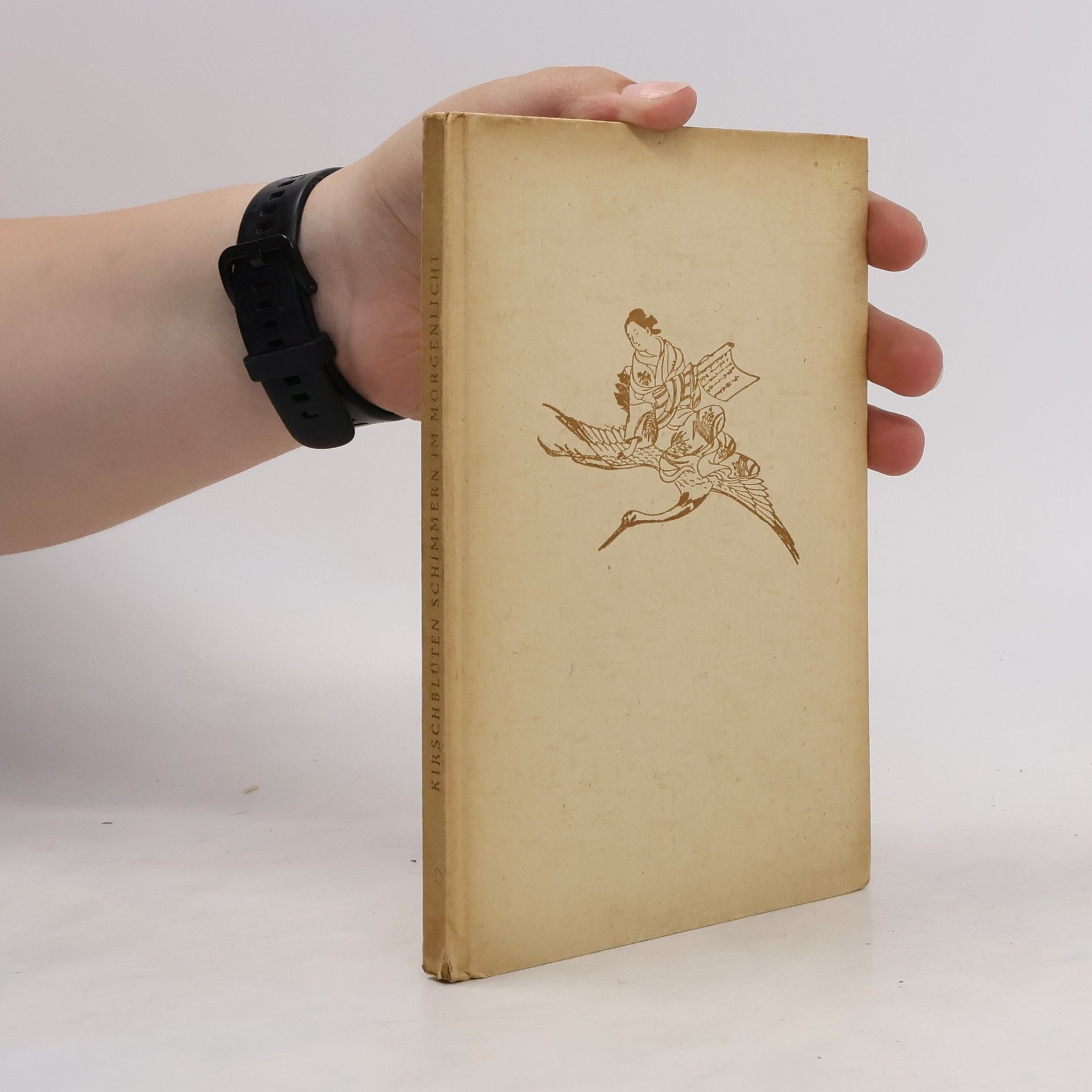 Gerhart Haug Kirschblüten schimmern im Morgenlicht