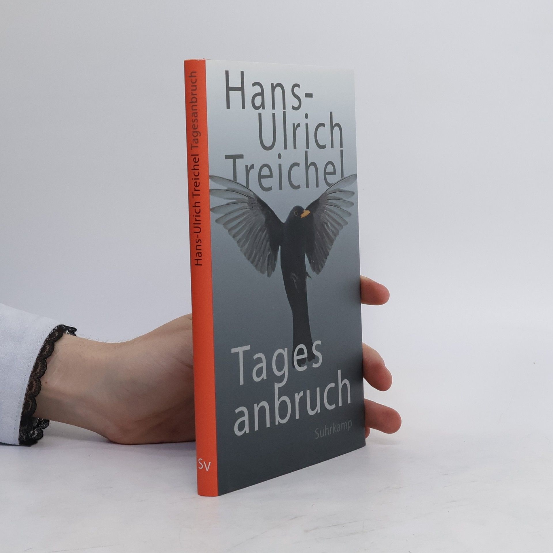 Hans-Ulrich Treichel Tagesanbruch