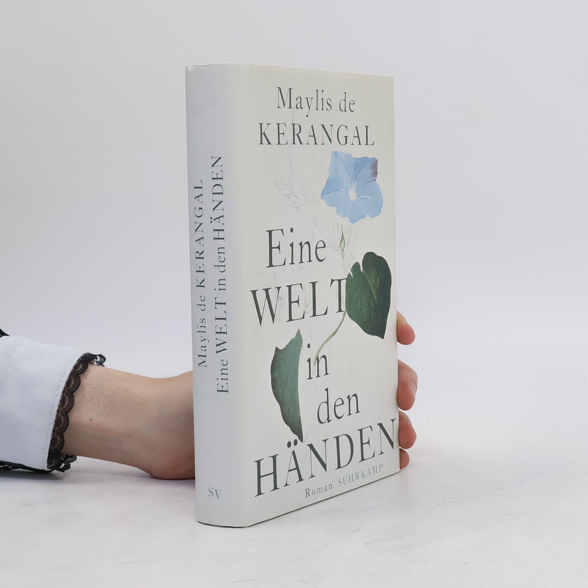 Maylis de Kerangal Eine Welt in den Händen