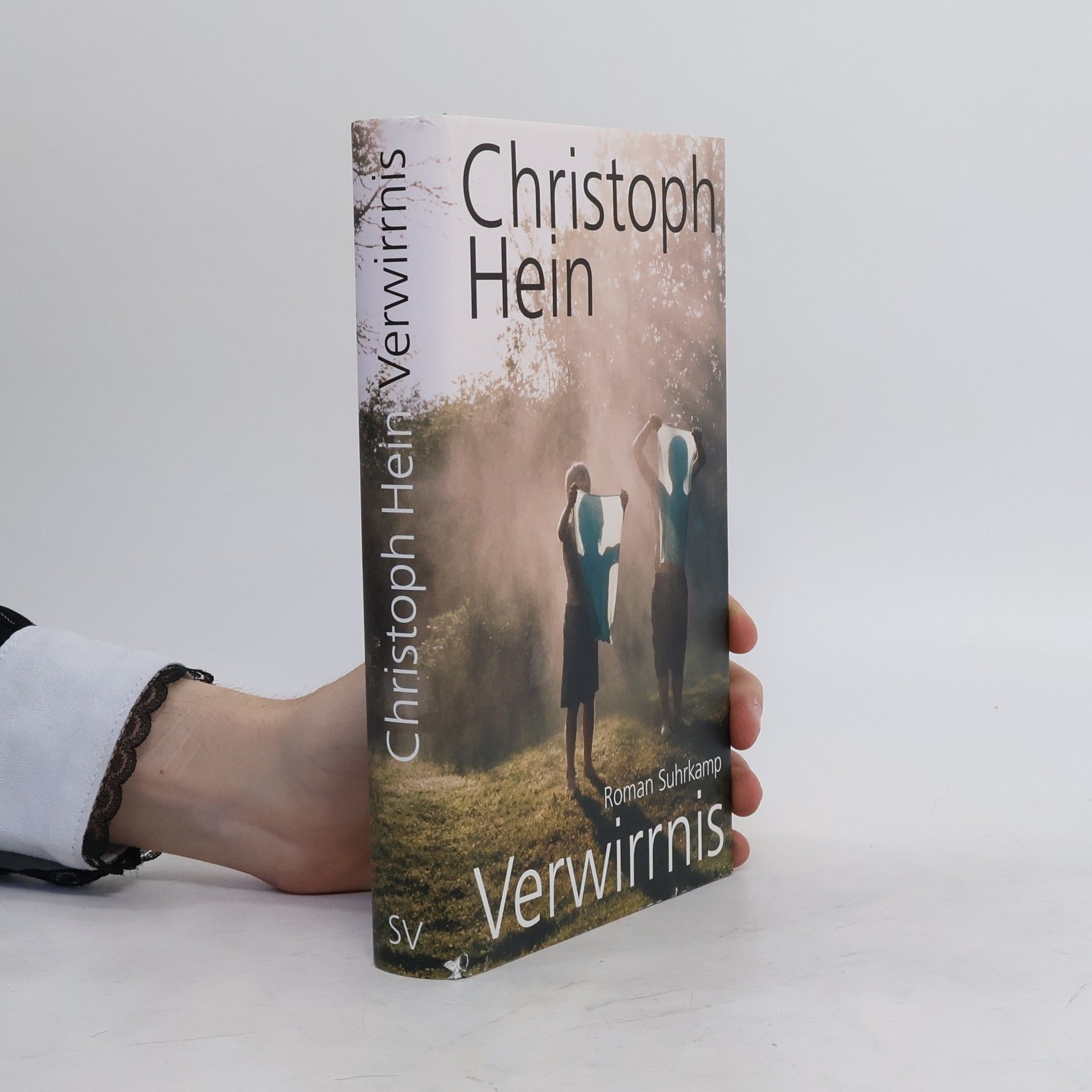 Christoph Hein Verwirrnis