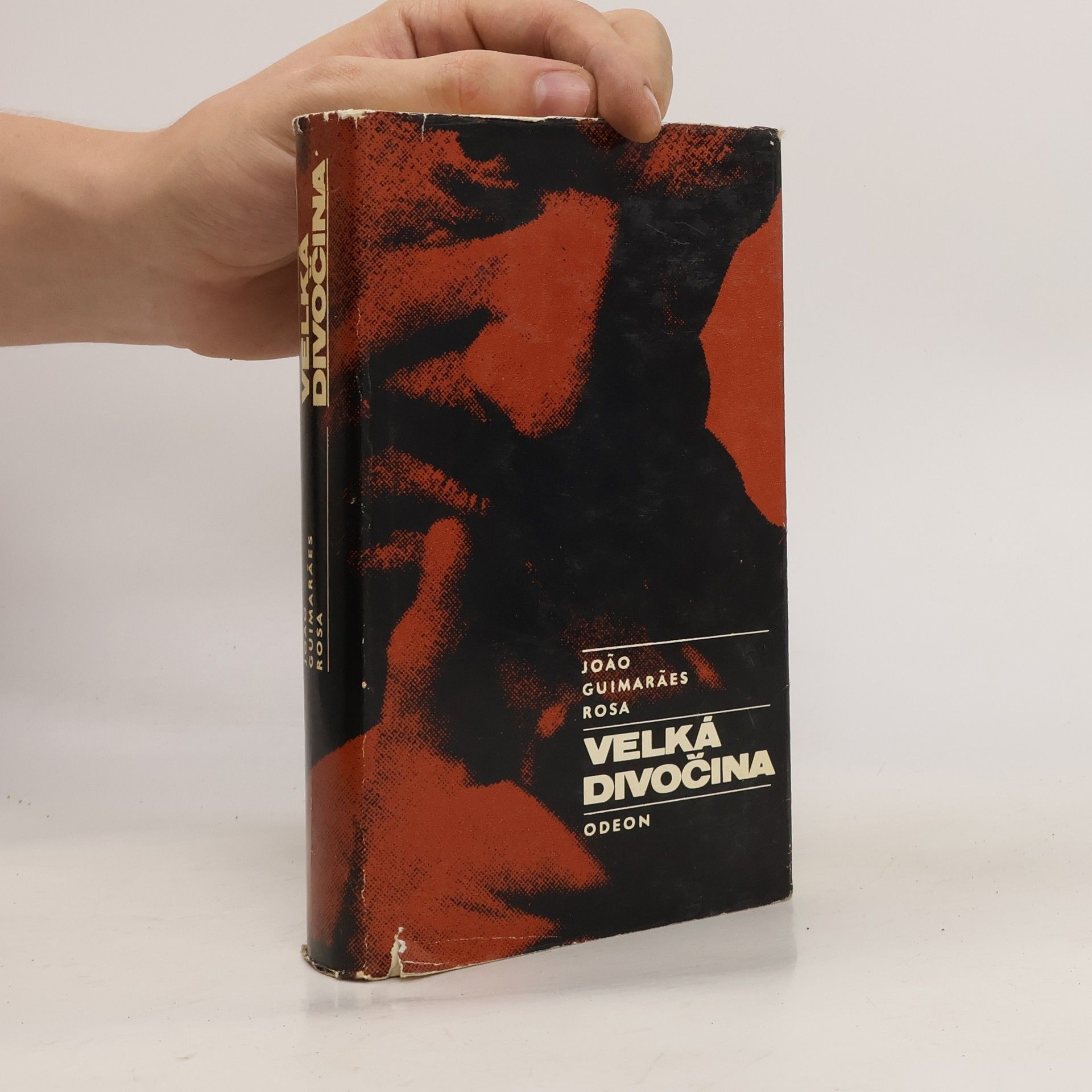 João Guimarães Rosa Velká divočina