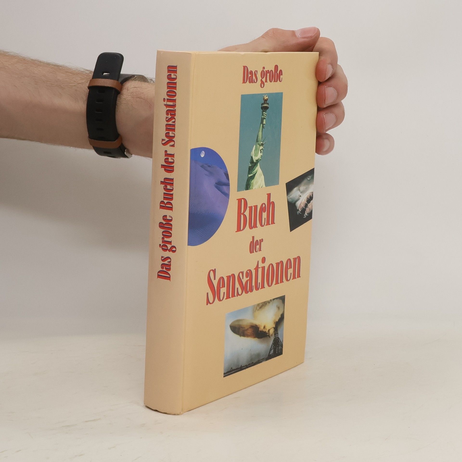 Linda Amon Das große Buch der Sensationen