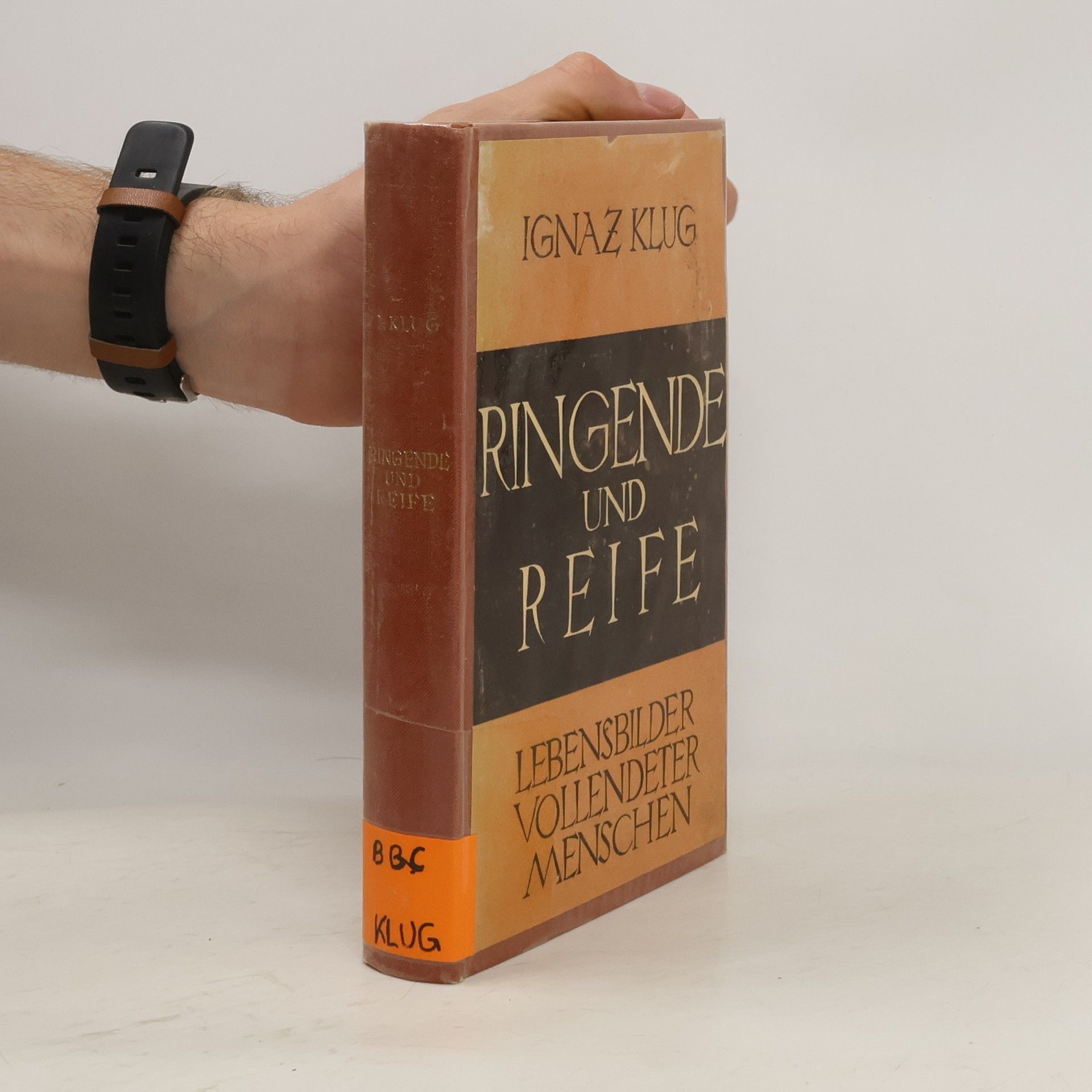 Ignaz Klug Ringende und Reife Lebensbilder vollendeter Menschen