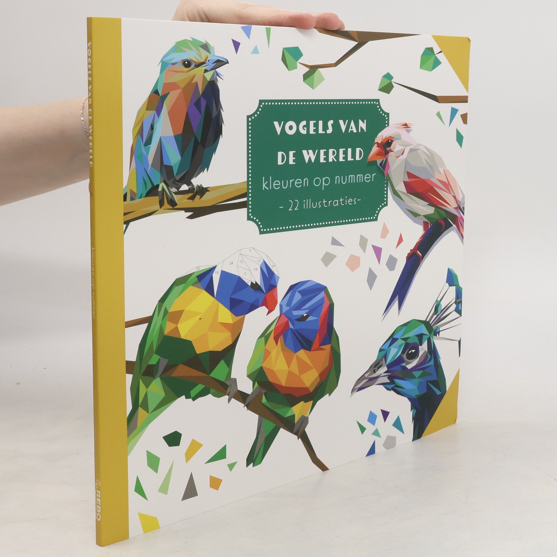 Autorenkollektiv Vogels van de wereld