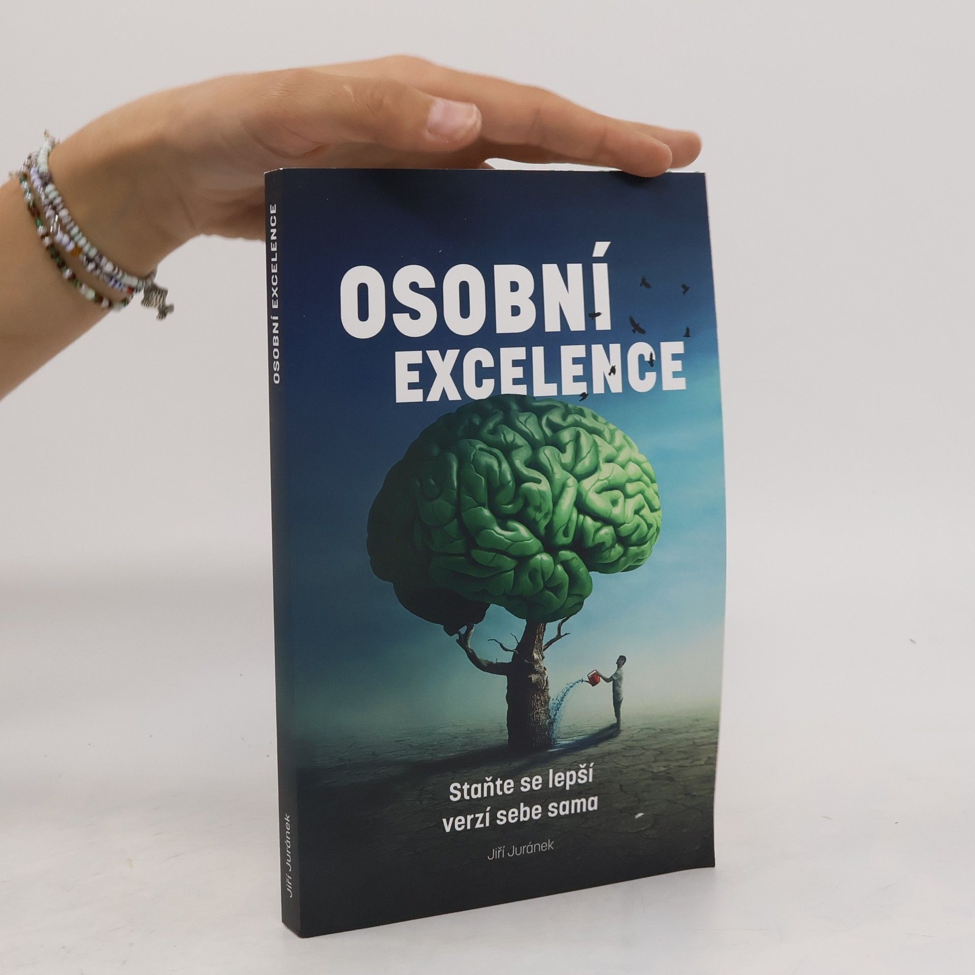 Jiří Juránek Osobní excelence - Staňte se lepší verzí sebe sama