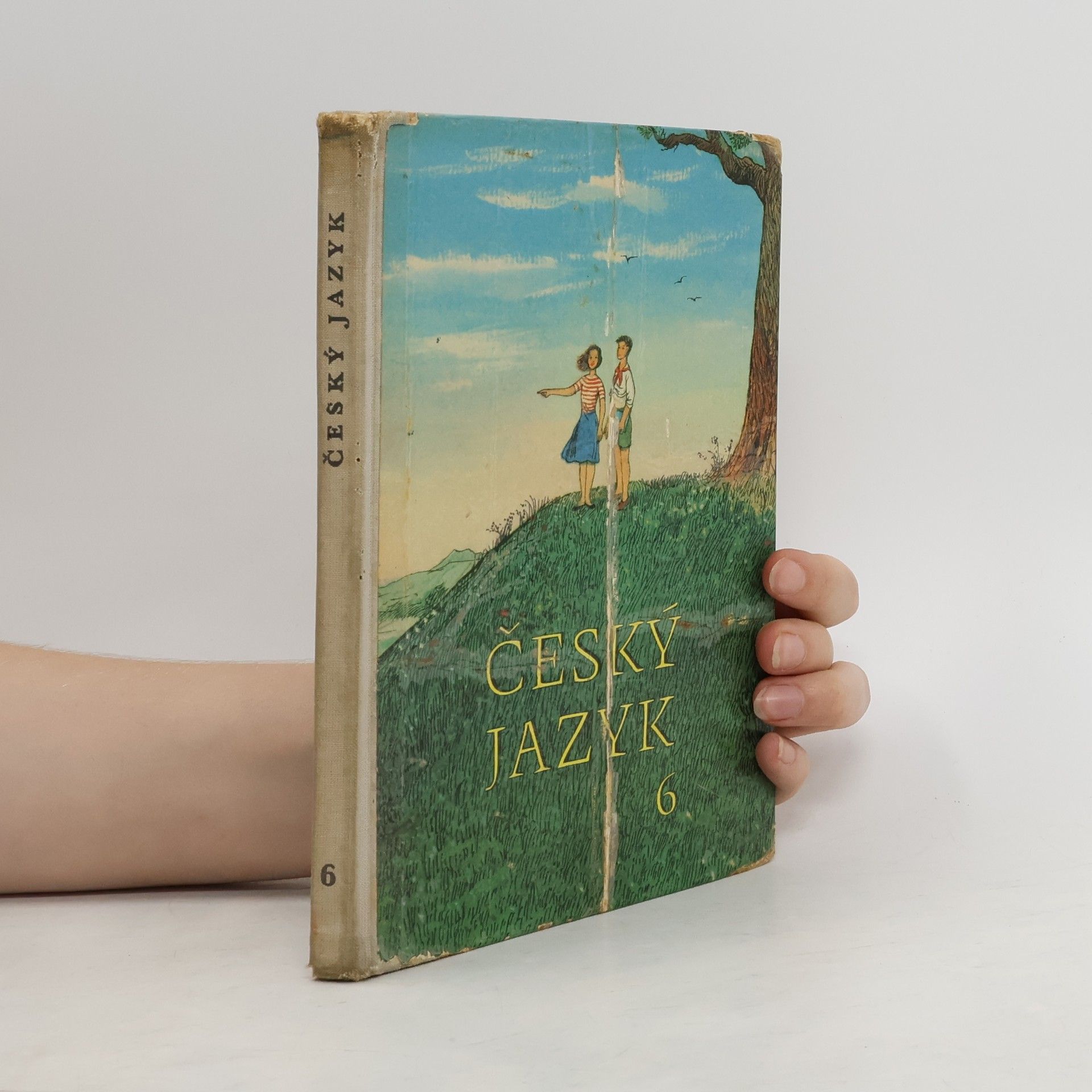 Collectif d'auteurs Český jazyk 6