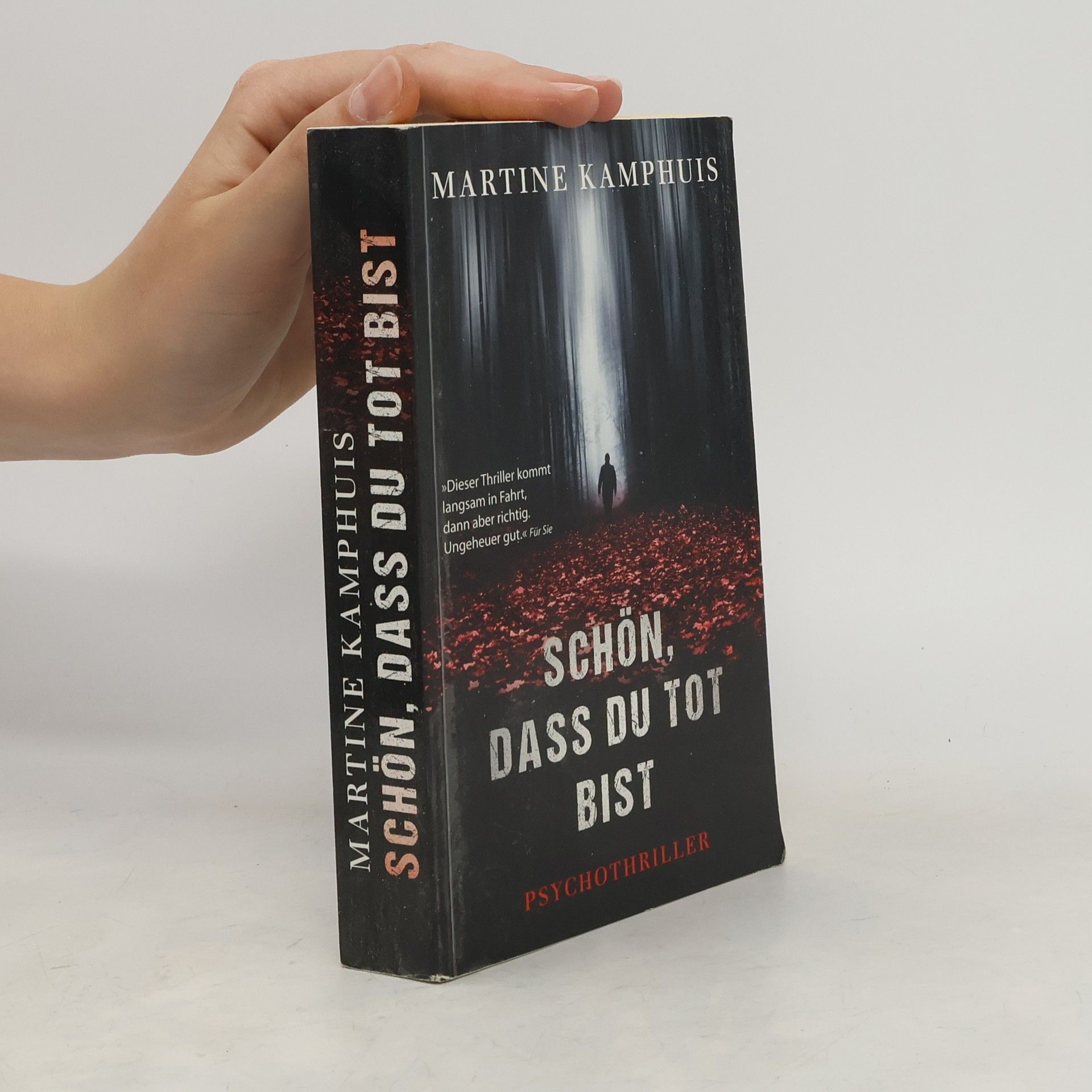 Martine Kamphuis Schön, dass du tot Bist