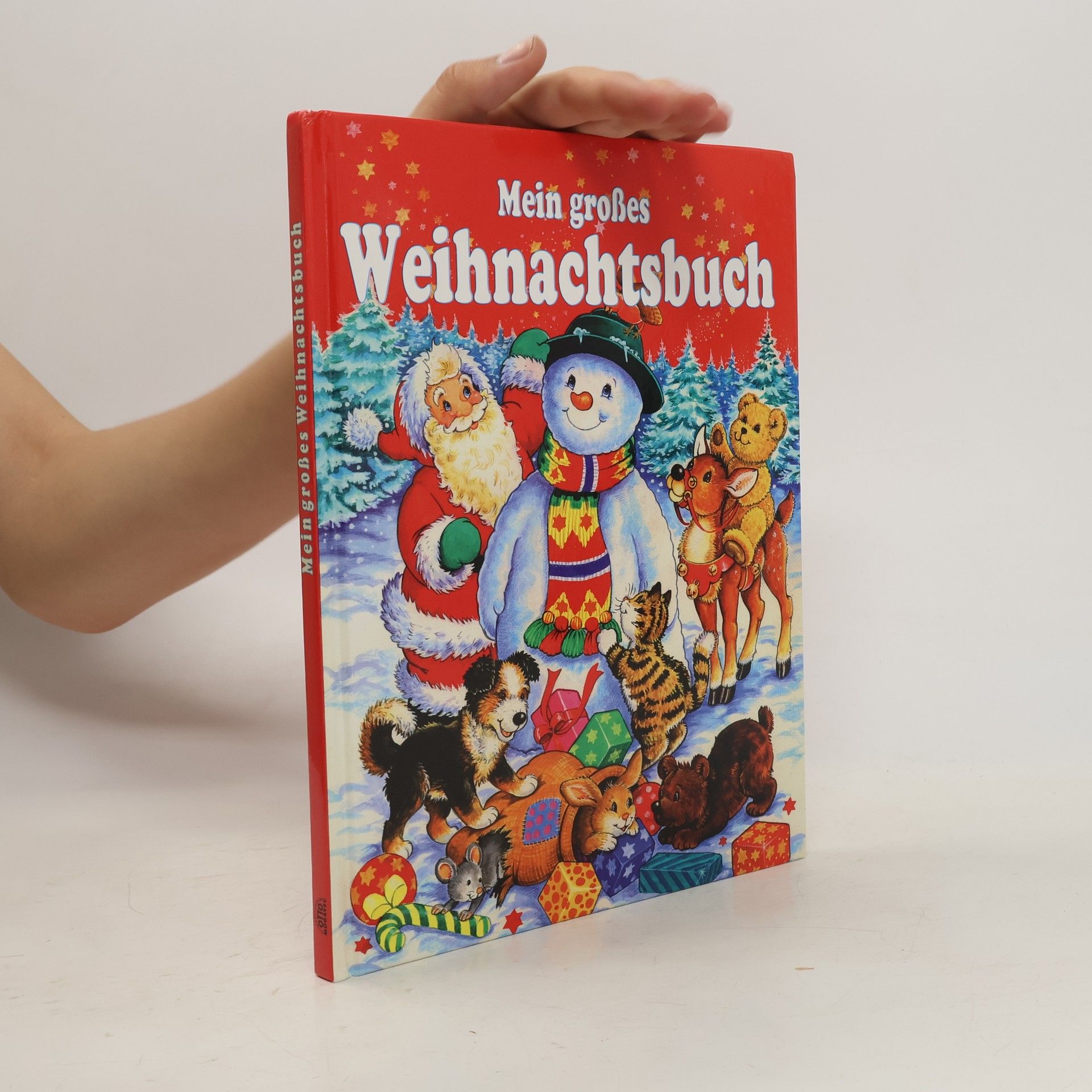 Ugo Maccari Mein großes Weihnachtsbuch