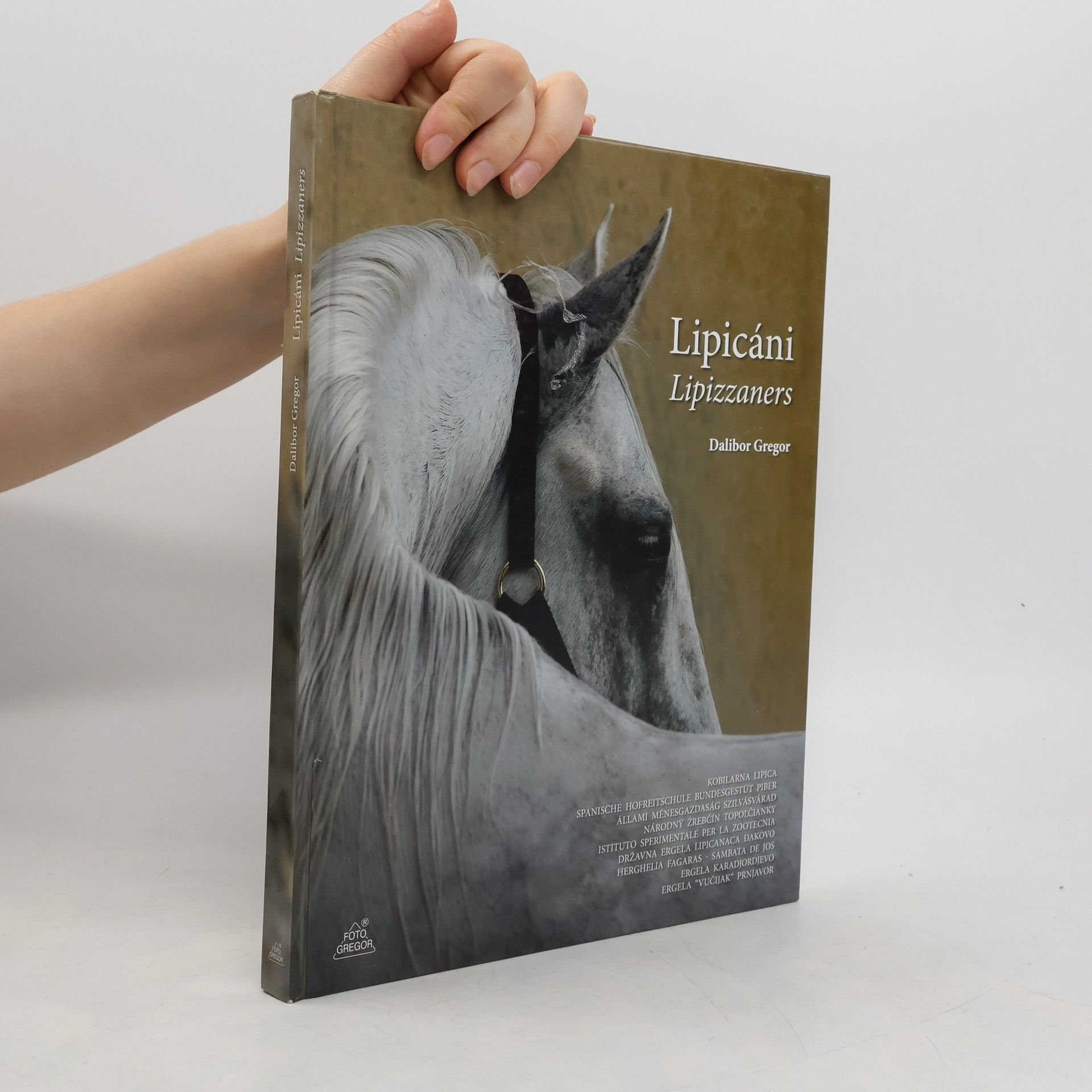 Dalibor Gregor Lipicáni