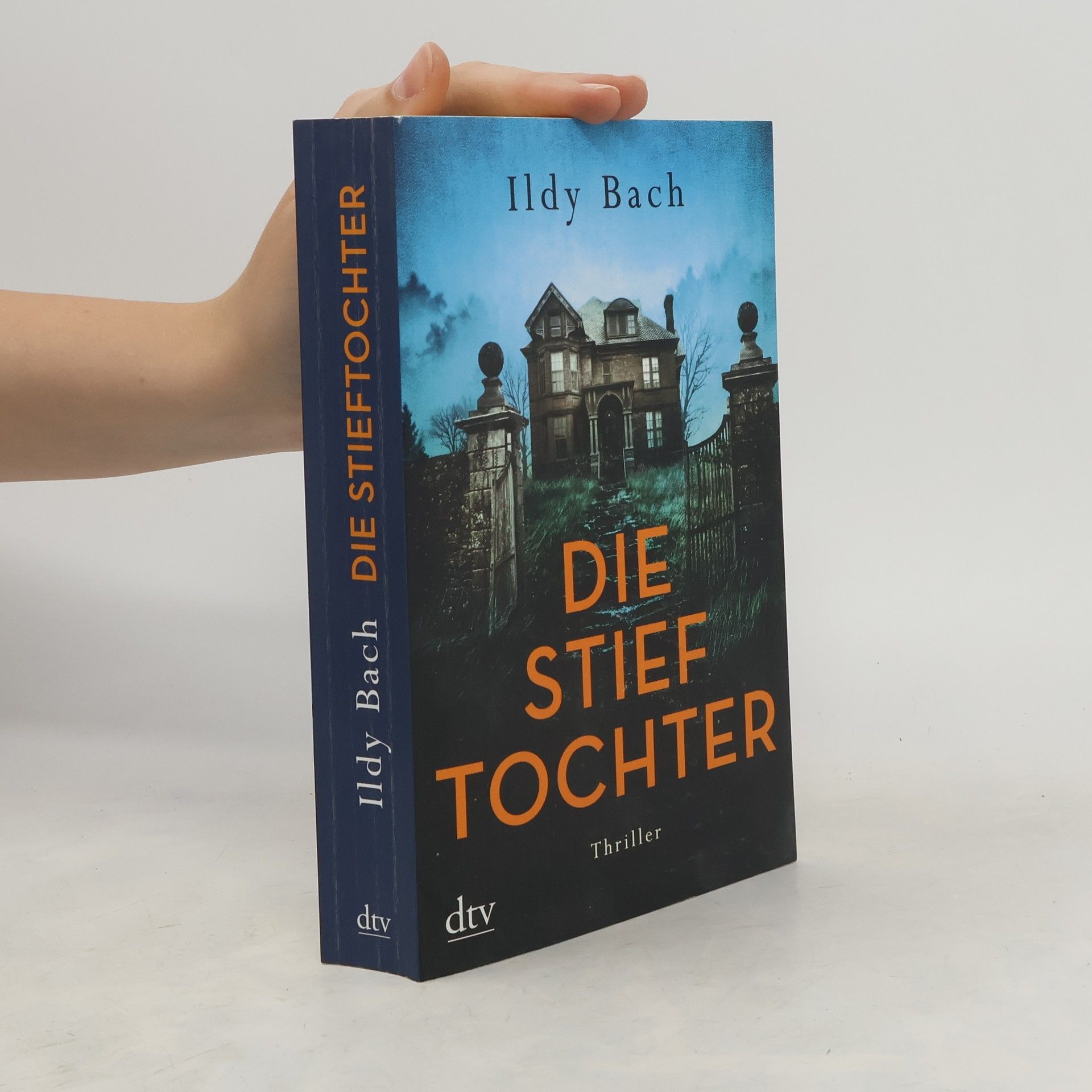 Ildy Bach Die Stieftochter