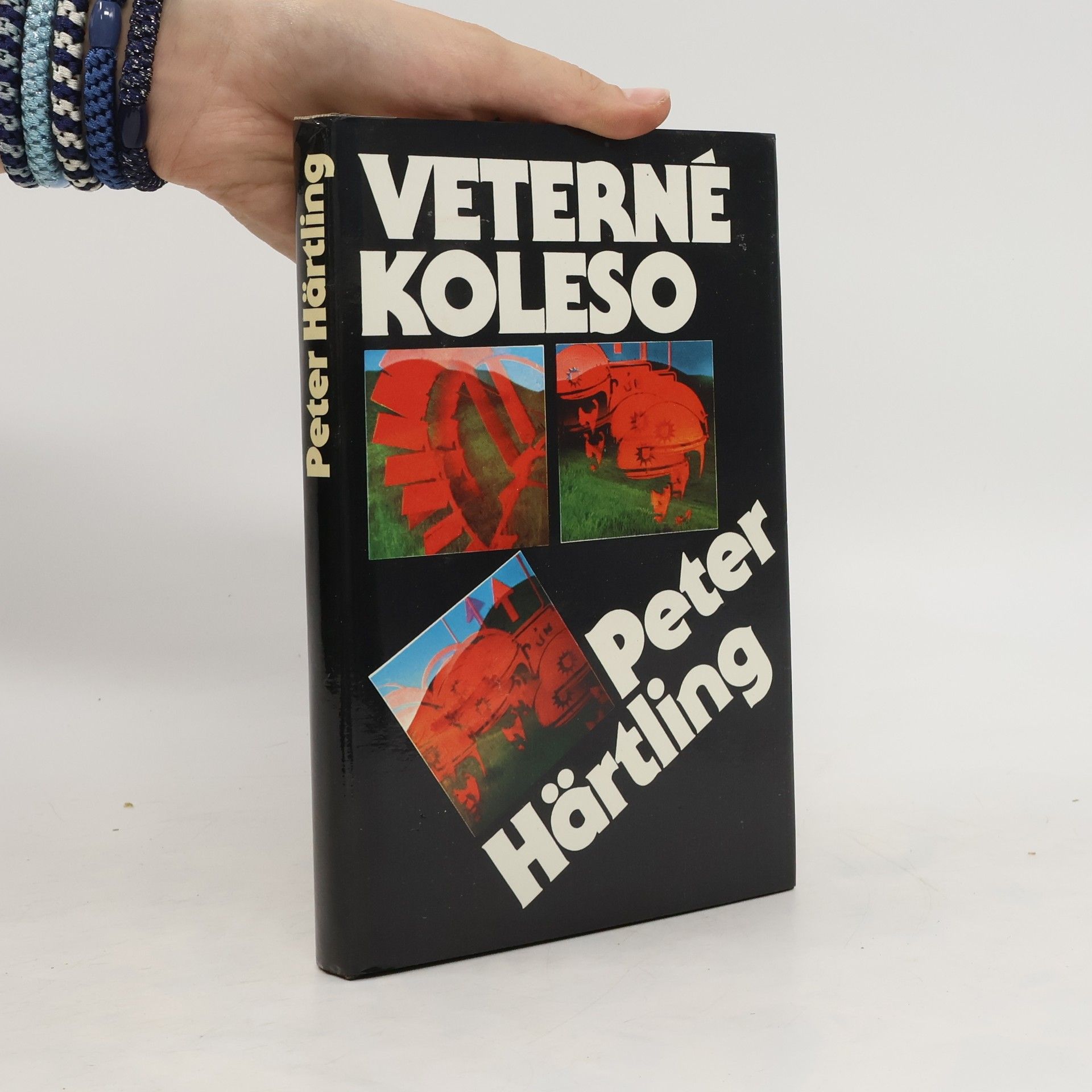 Peter Härtling Veterné koleso