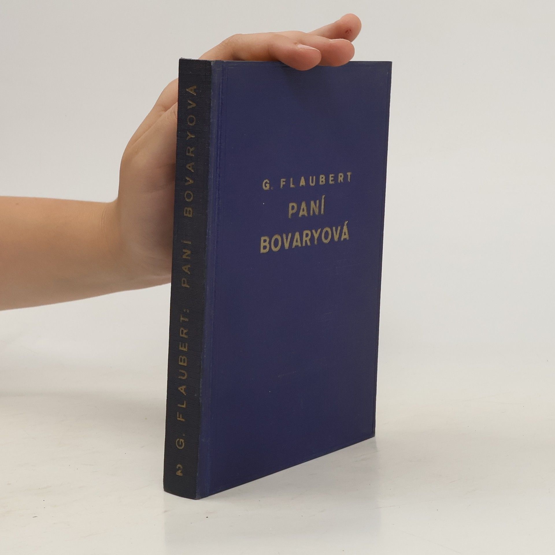 Gustave Flaubert Paní Bovaryová I