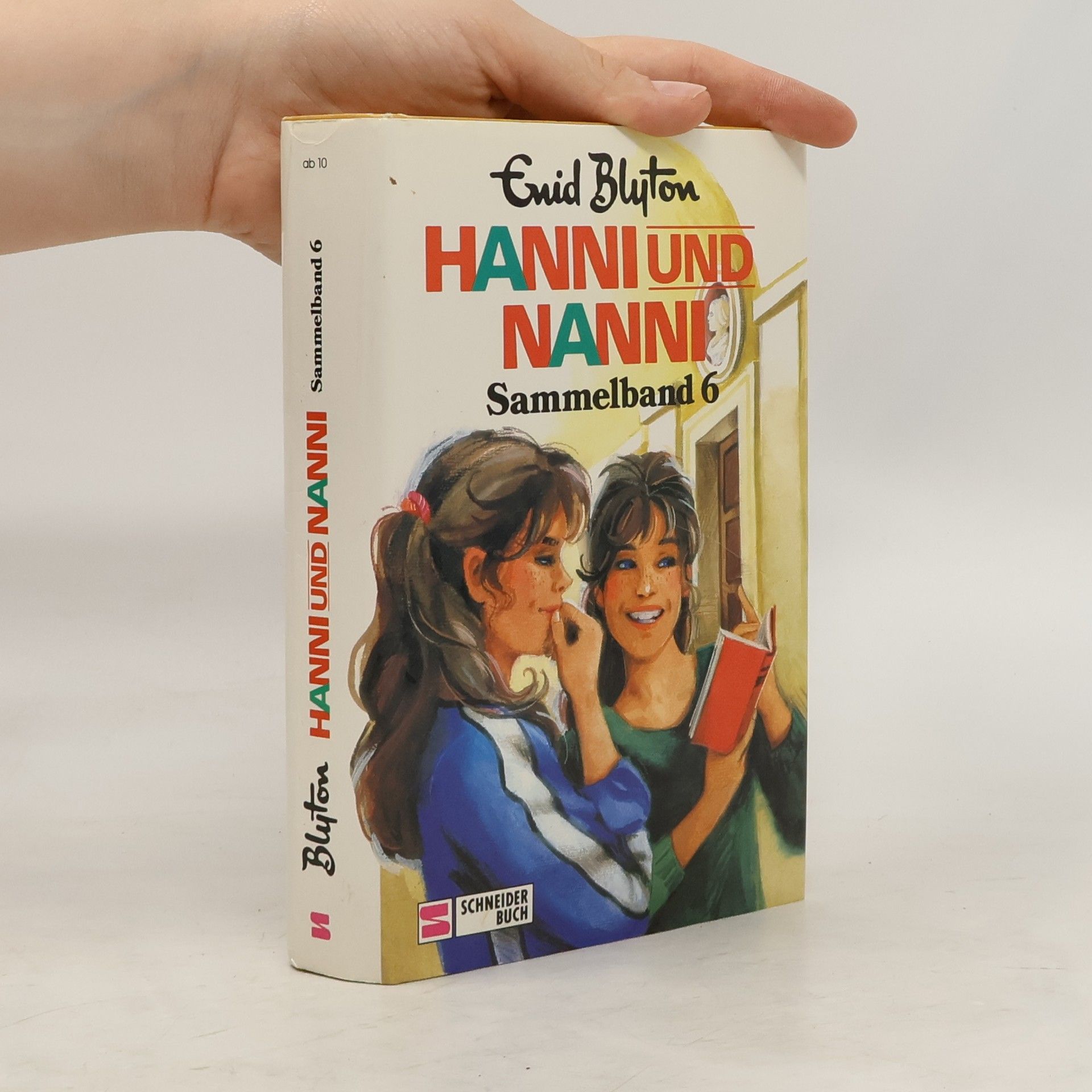 Enid Blyton Hanni und Nanni. Sammelband 6