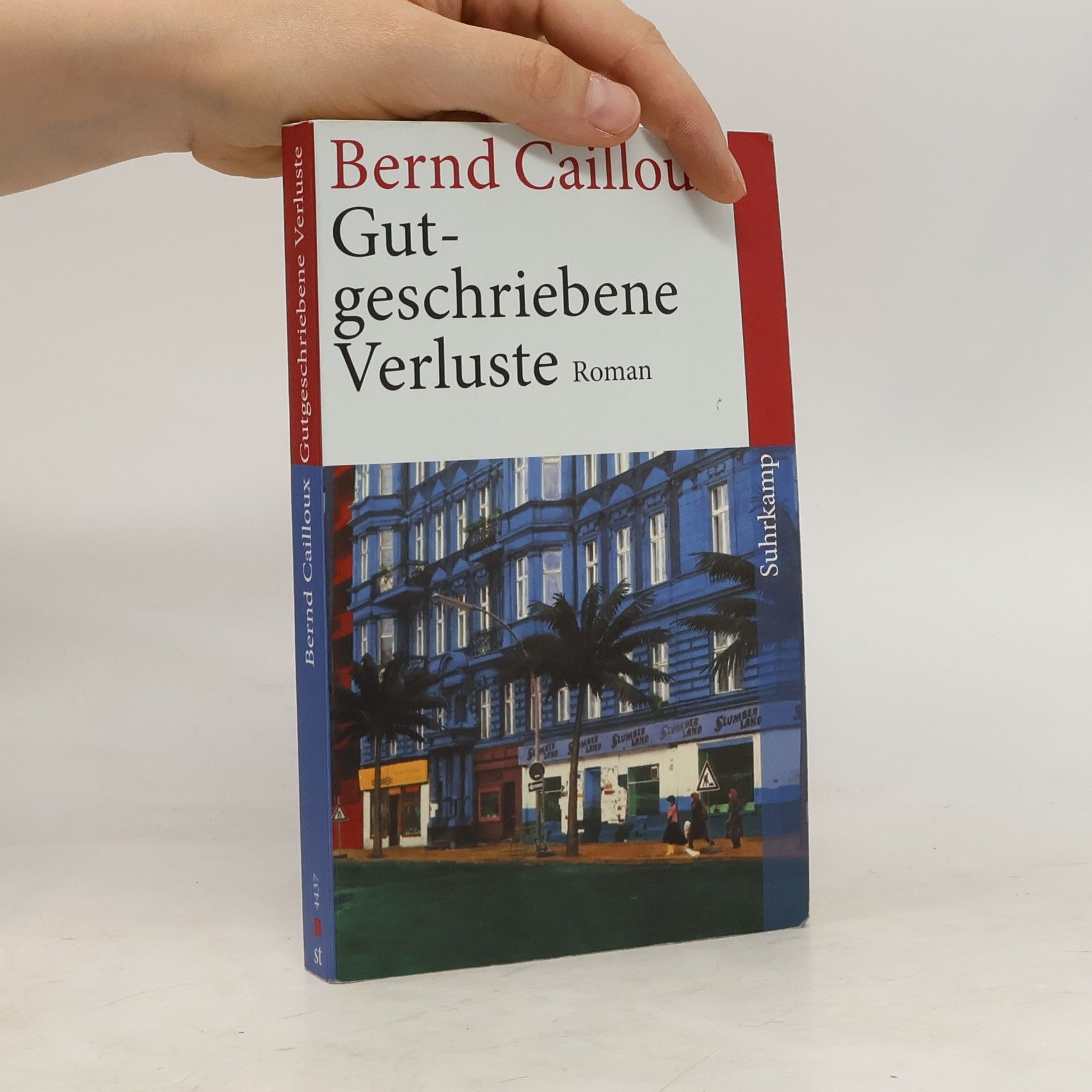 Bernd Cailloux Gutgeschriebene Verluste