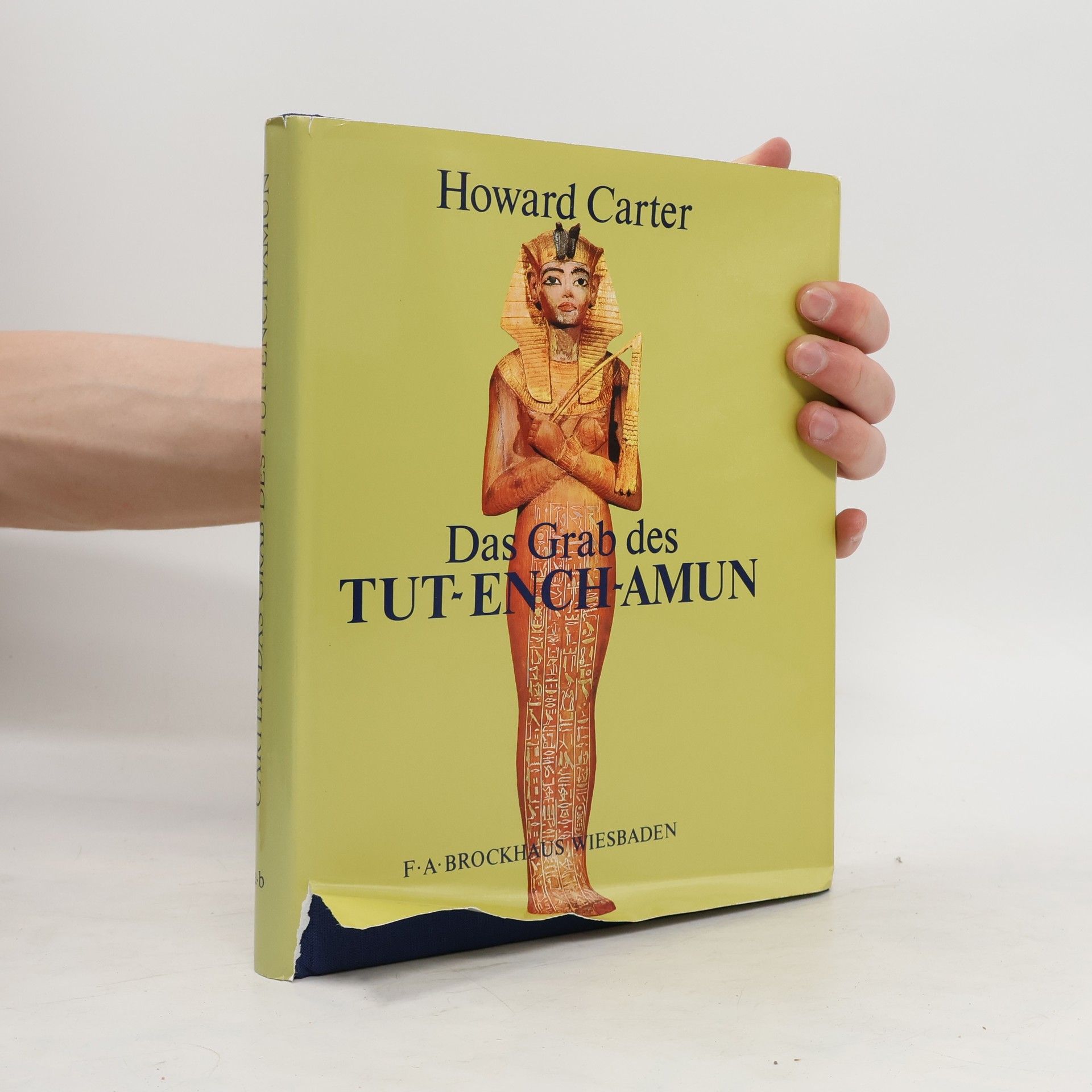 Howard Carter Das Grab des Tut-ench-Amun