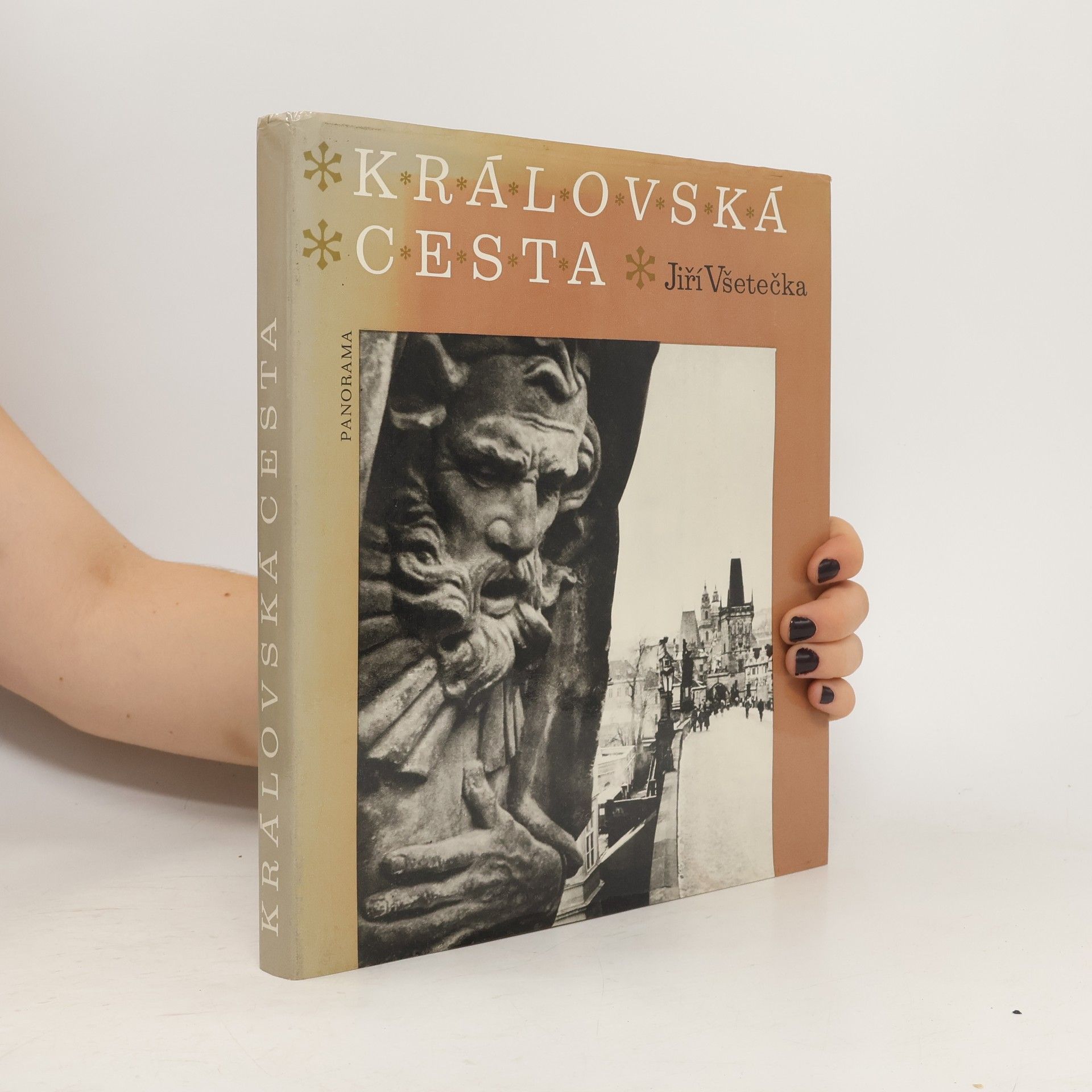 Jiří Všetečka Královská cesta