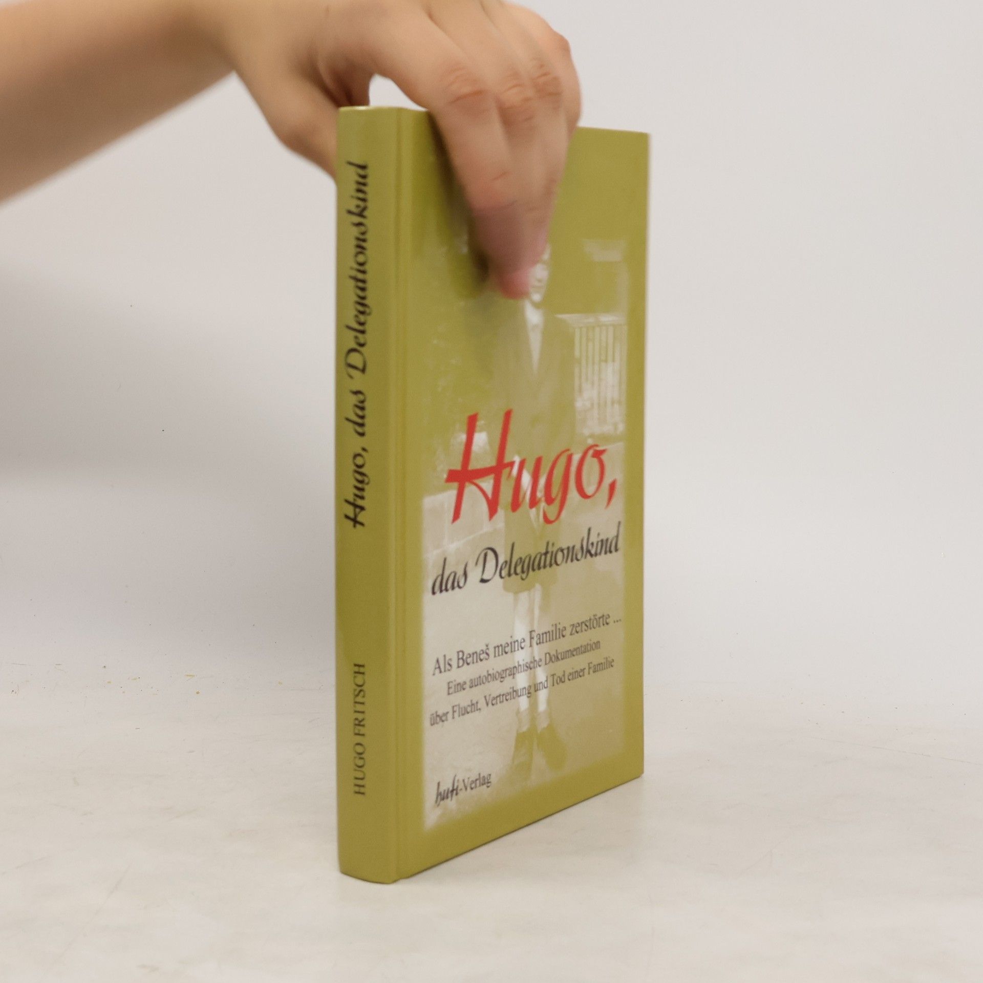 Hugo Fritsch Hugo, das Delegaionskind: Als Beneš meine Familie zerstörte
