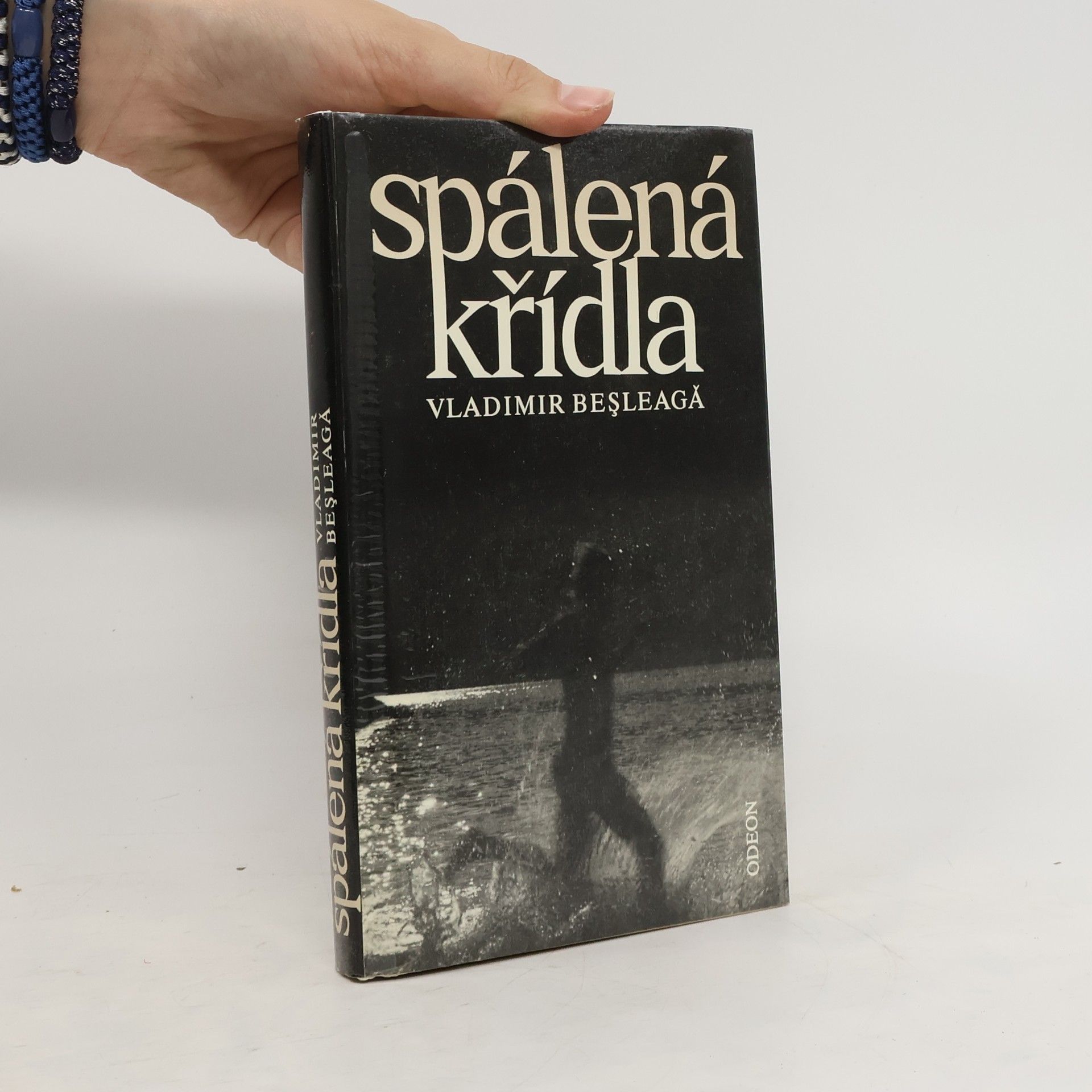 Vladimir Besleagă Spálená křídla
