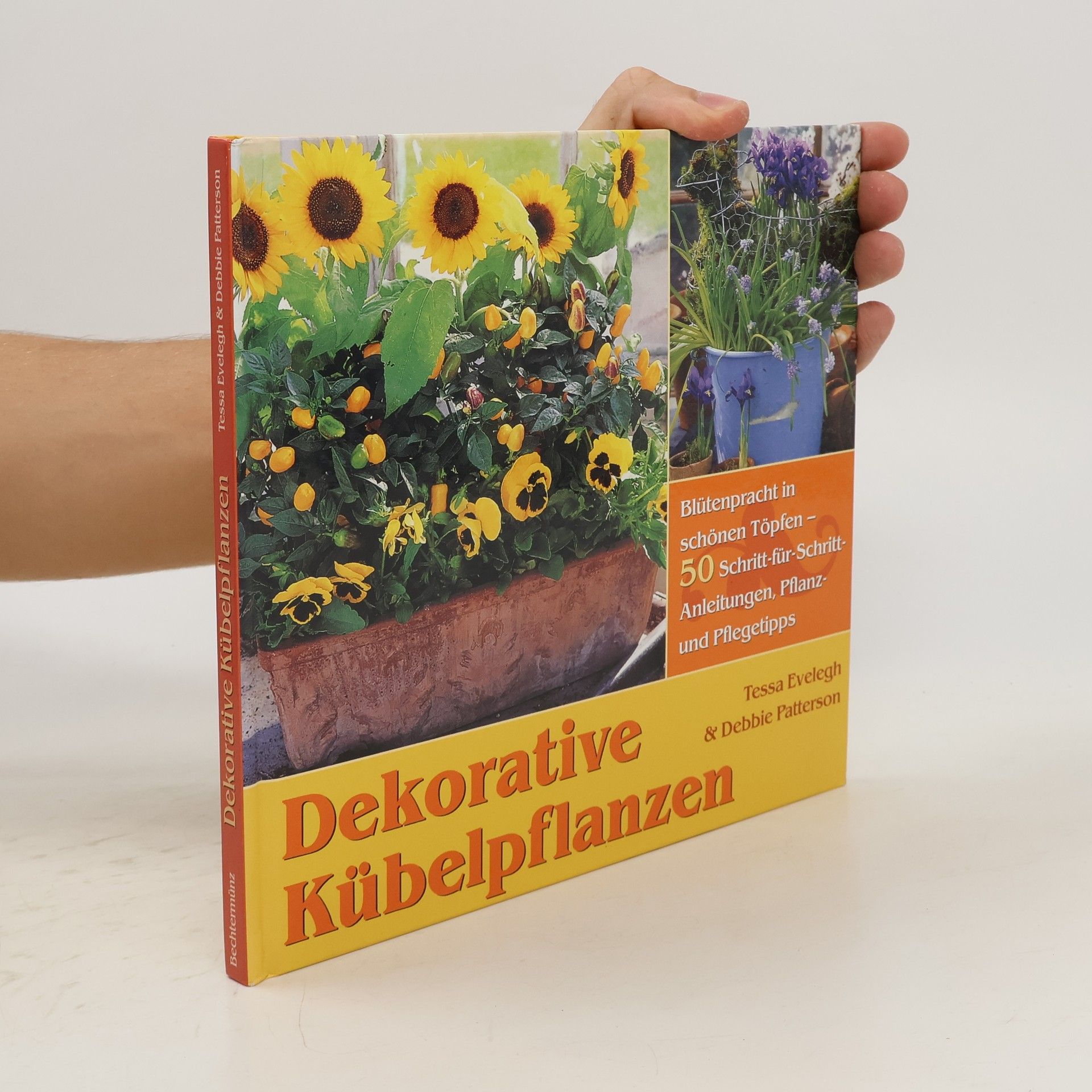 Tessa Evelegh Dekorative Kübelpflanzen