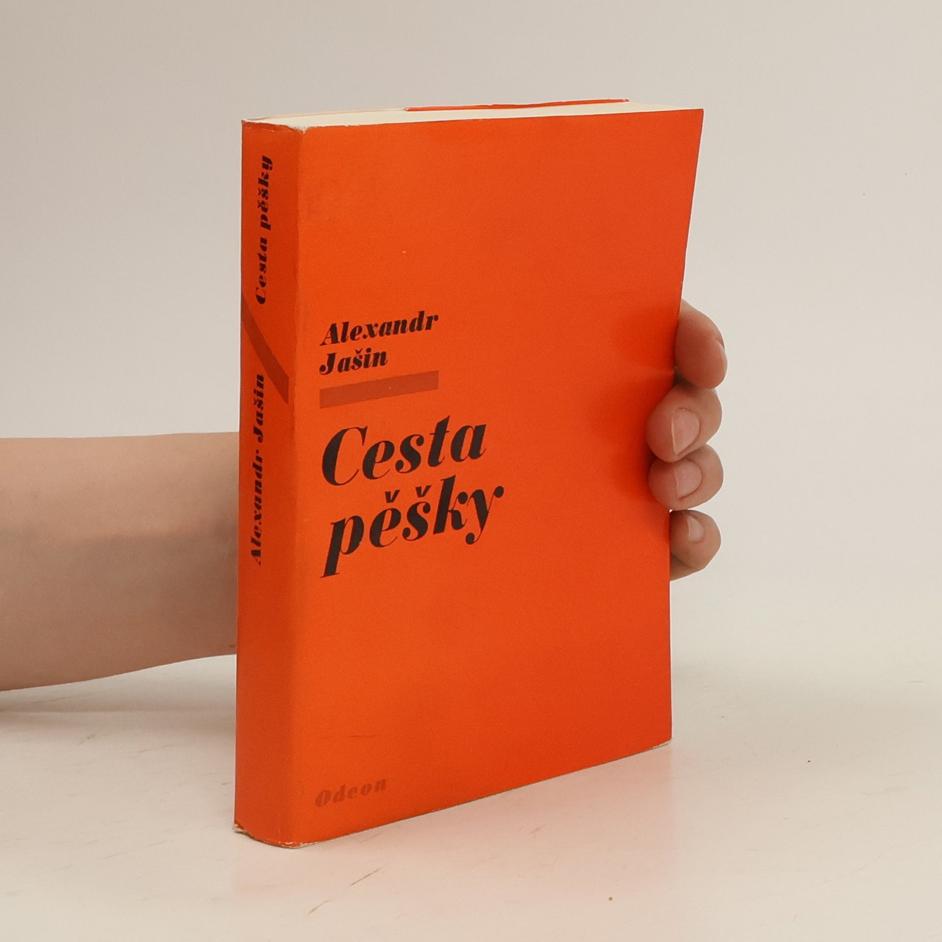 Alexand Jašin Cesta pěšky