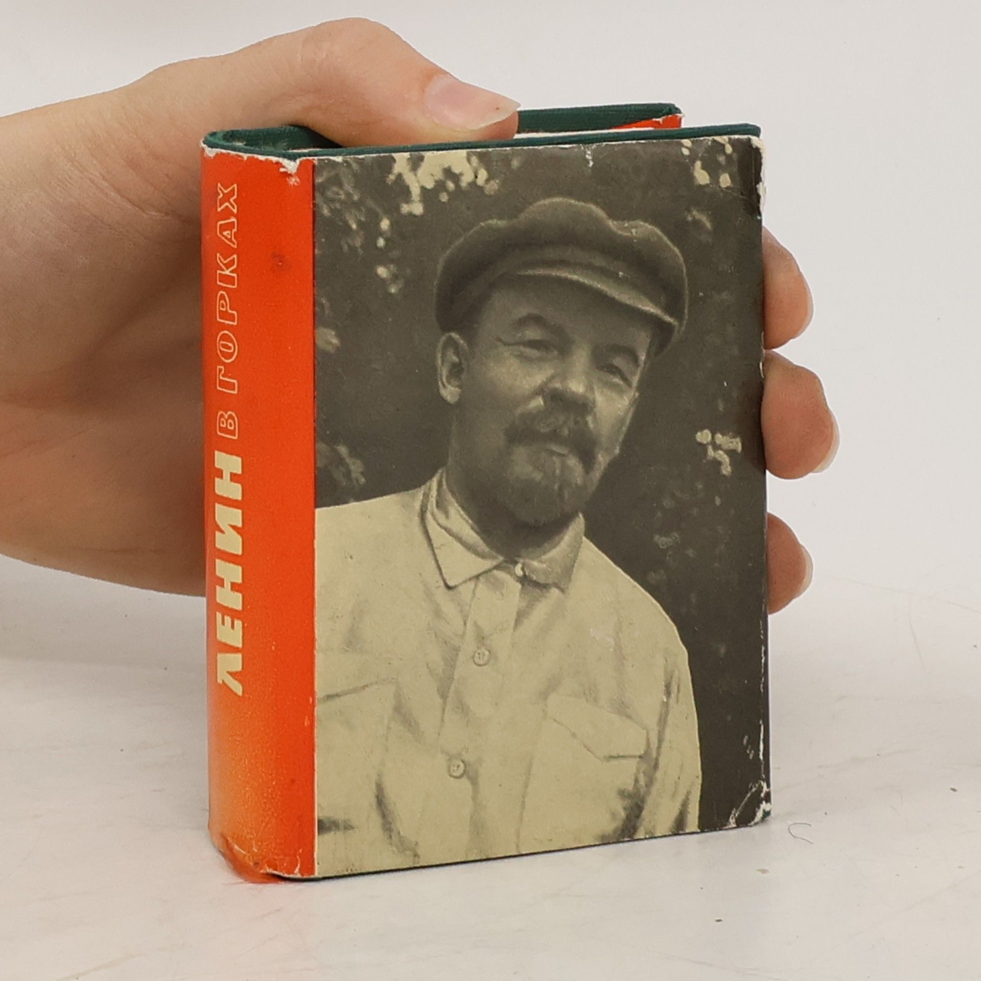 Волкова Валентина Васильевна Ленин в горках