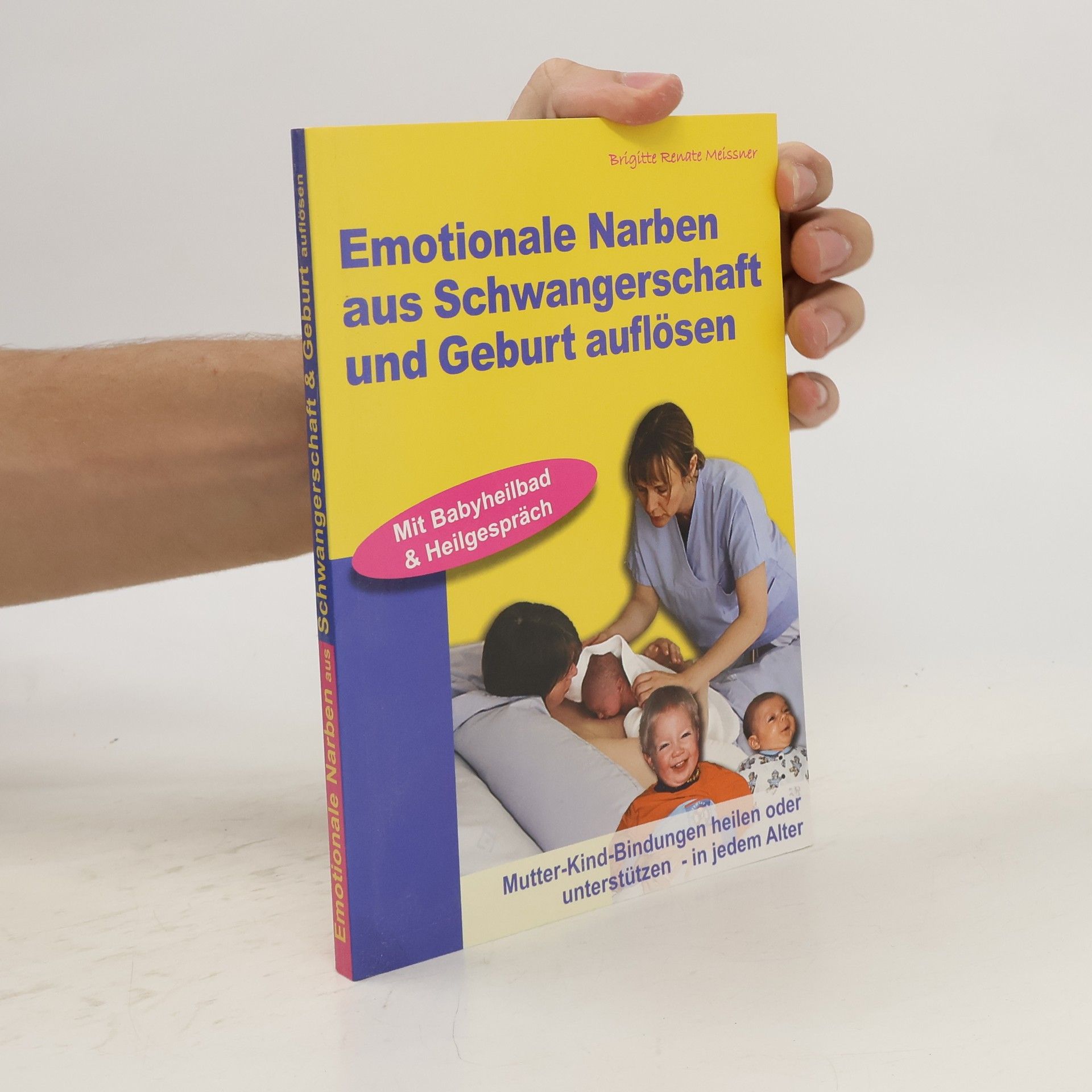 Brigitte Renate Meissner Emotionale Narben aus Schwangerschaft und Geburt auflösen