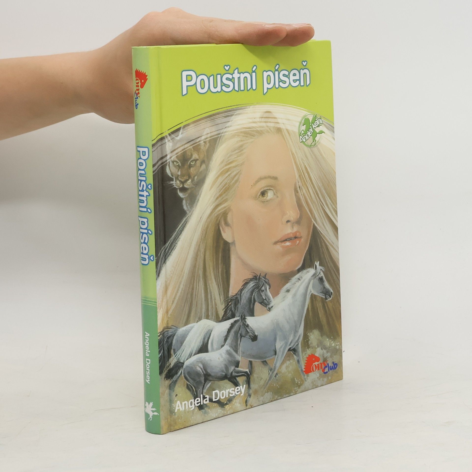 Angela Dorsey Pouštní píseň