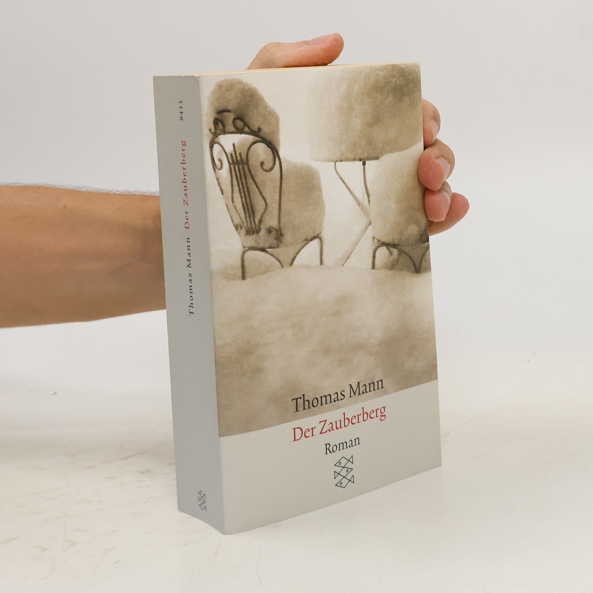 Thomas Mann Der Zauberberg