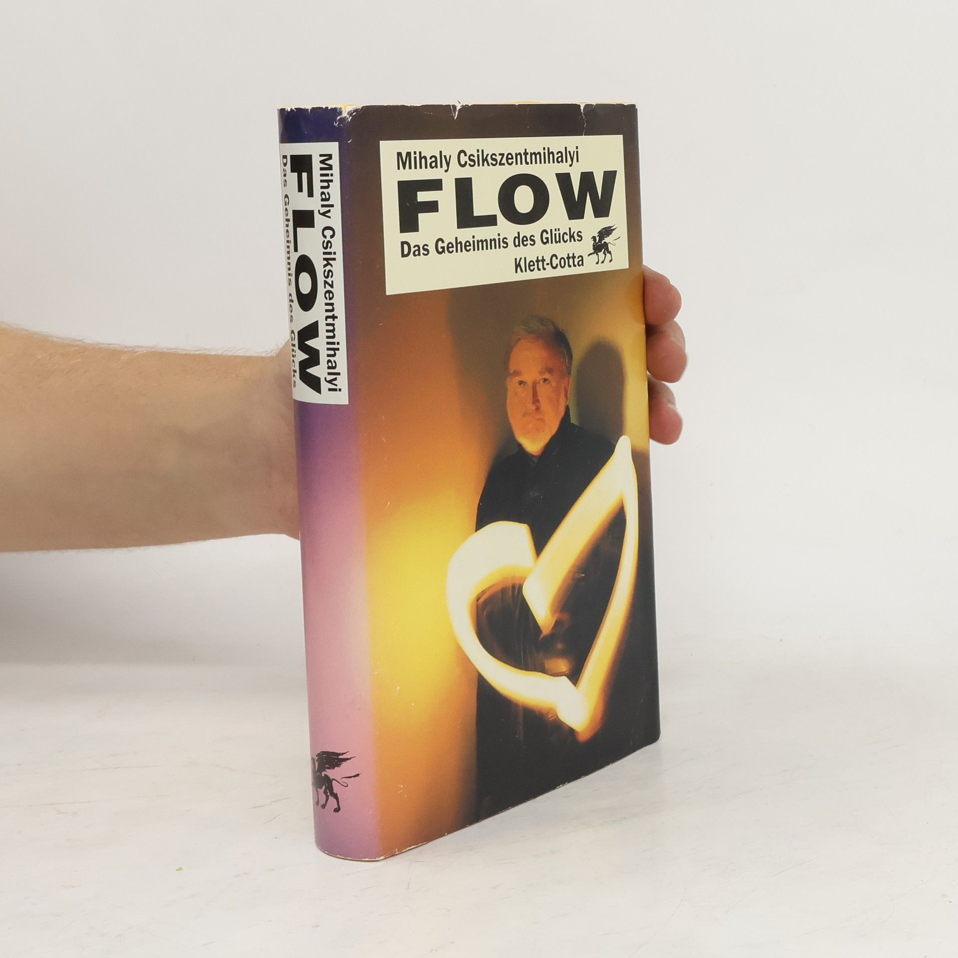 Mihaly Csikszentmihalyi FLOW Das Geheimnis des Glücks
