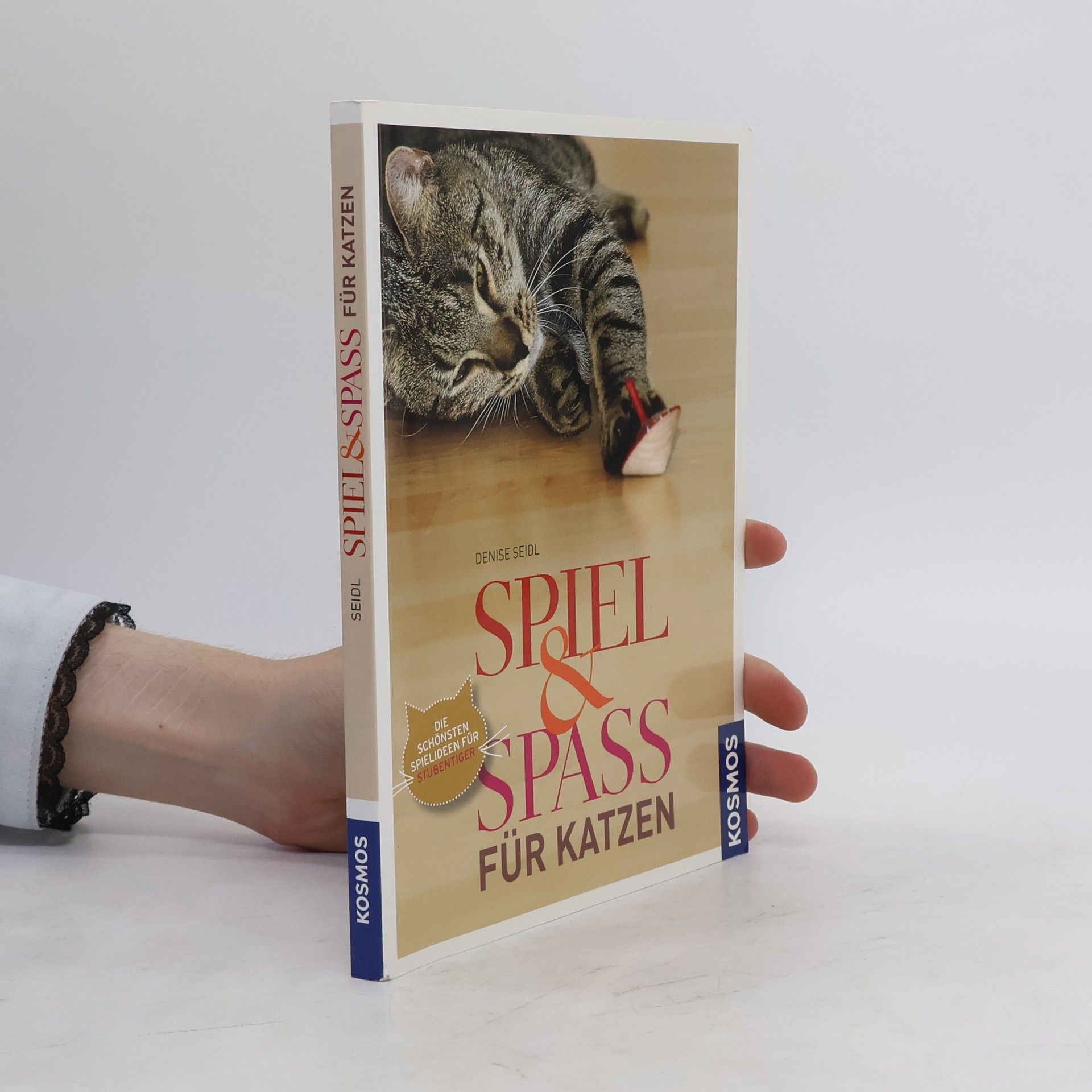 Denise Seidl Spiel & Spass für Katzen