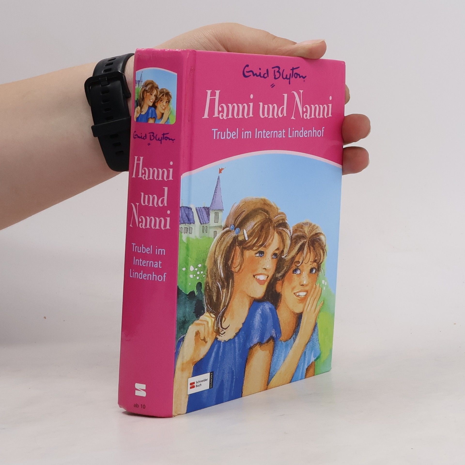 Enid Blyton Hanni und Nanni. Trubel im Internat Lindenhof