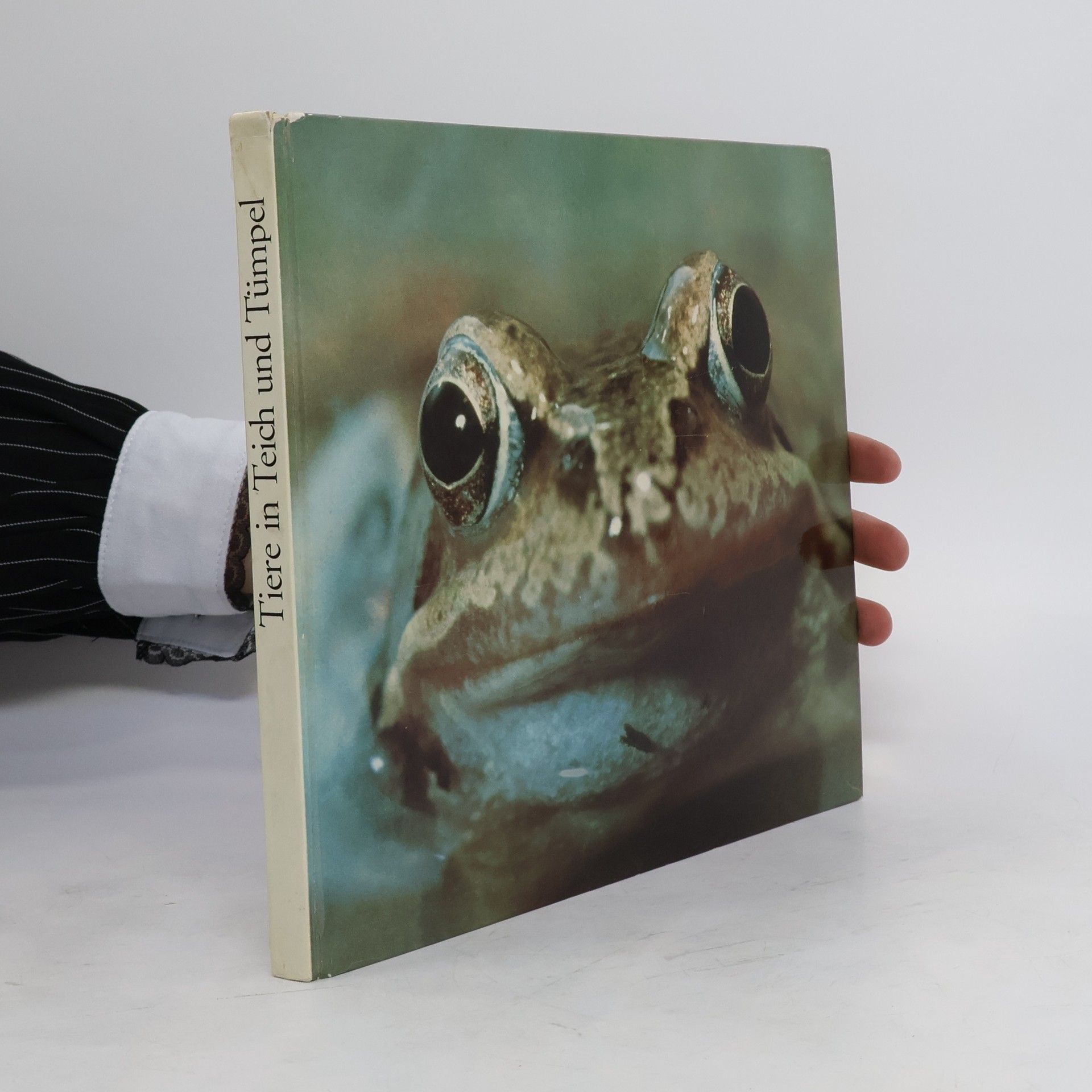 Klaus Paysan Tiere in Teich und Tümpel