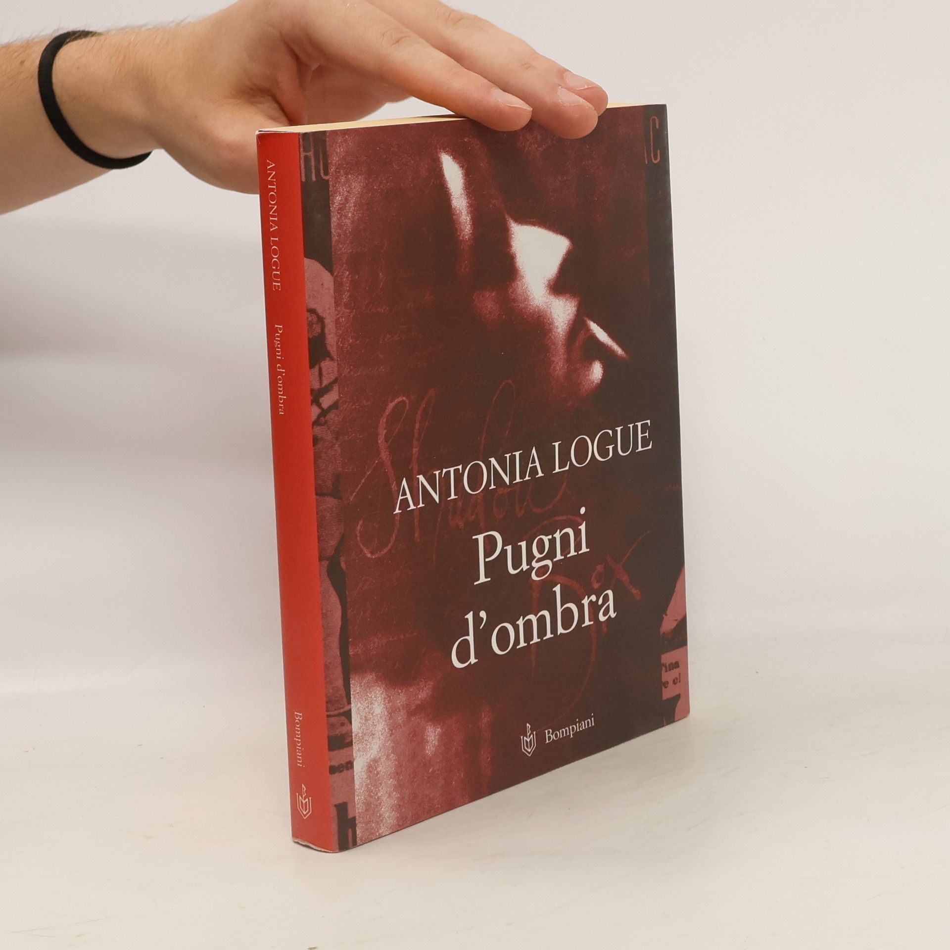 Antonia Logue Pugni d'ombra