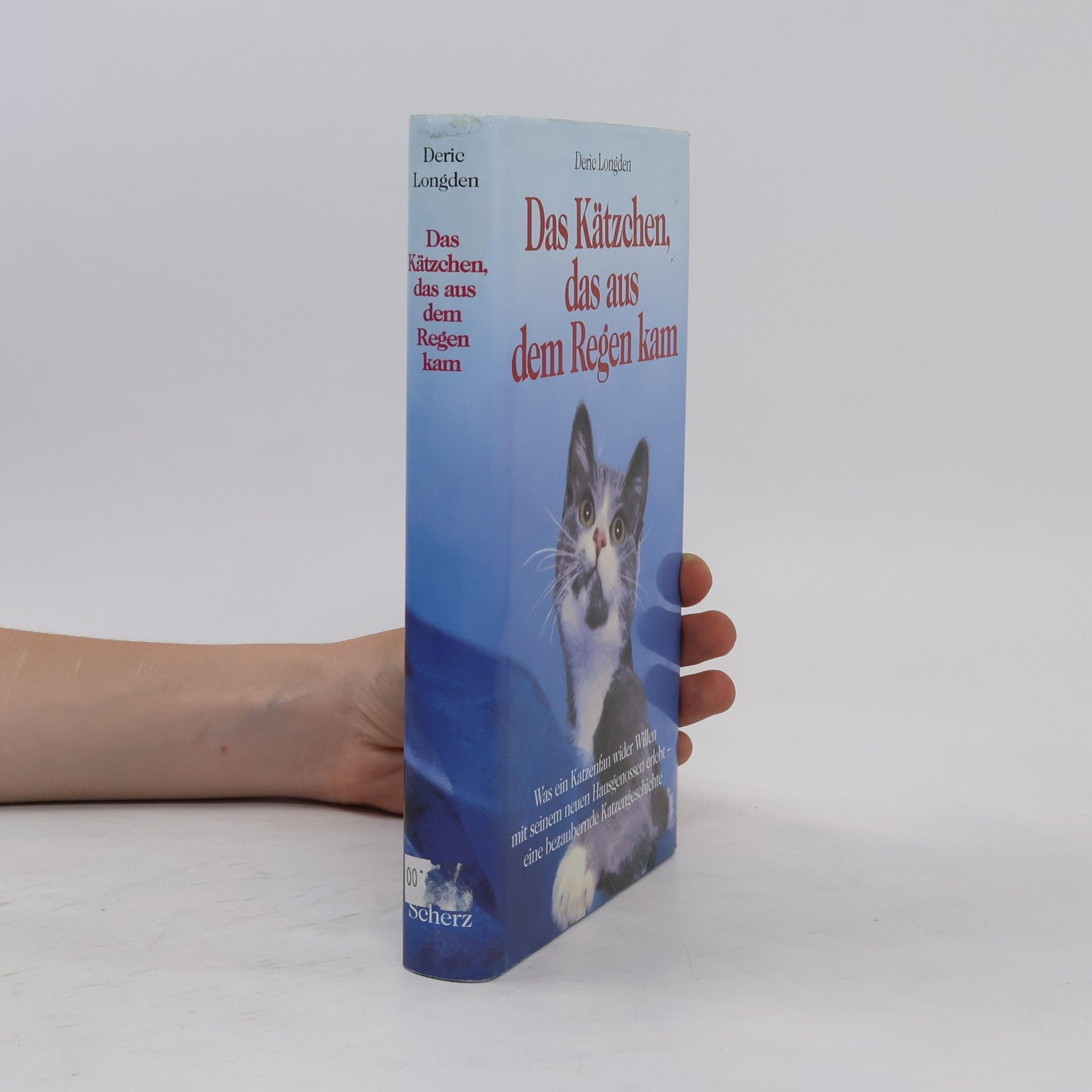 Deric Longden Das Kätzchen, das aus dem Regen kam