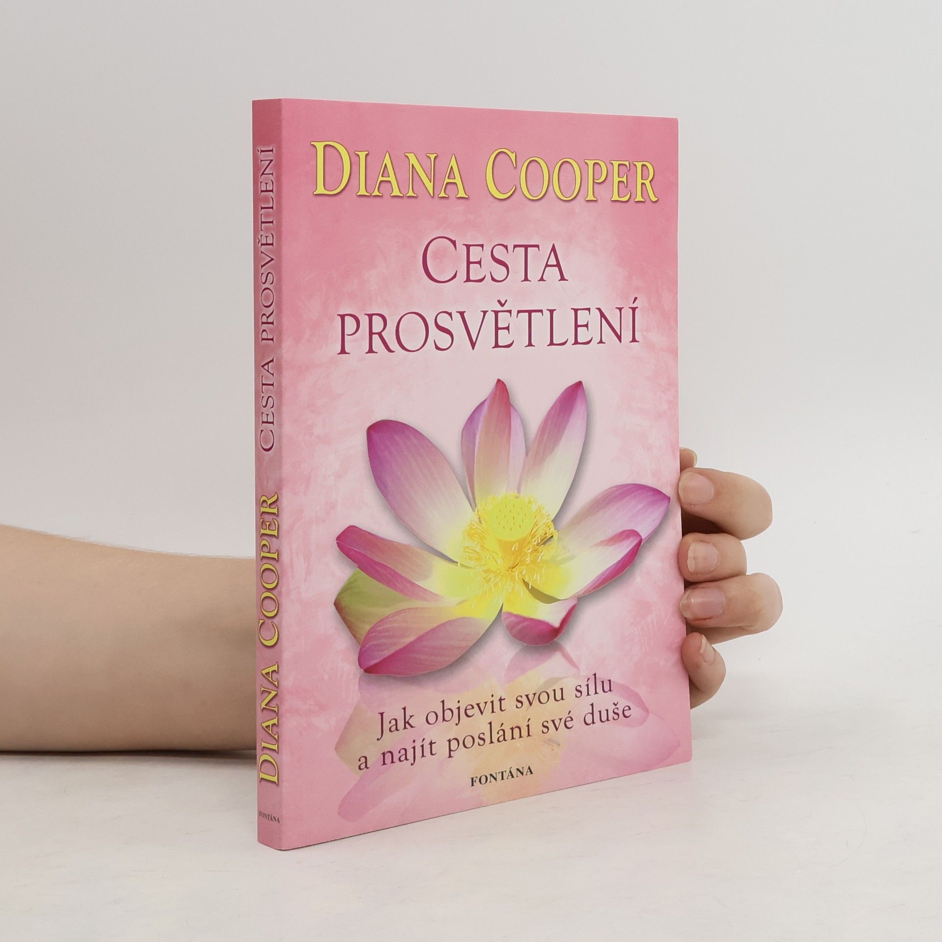 Diana Cooper Cesta prosvětlení : jak objevit svou sílu a najít poslání své duše
