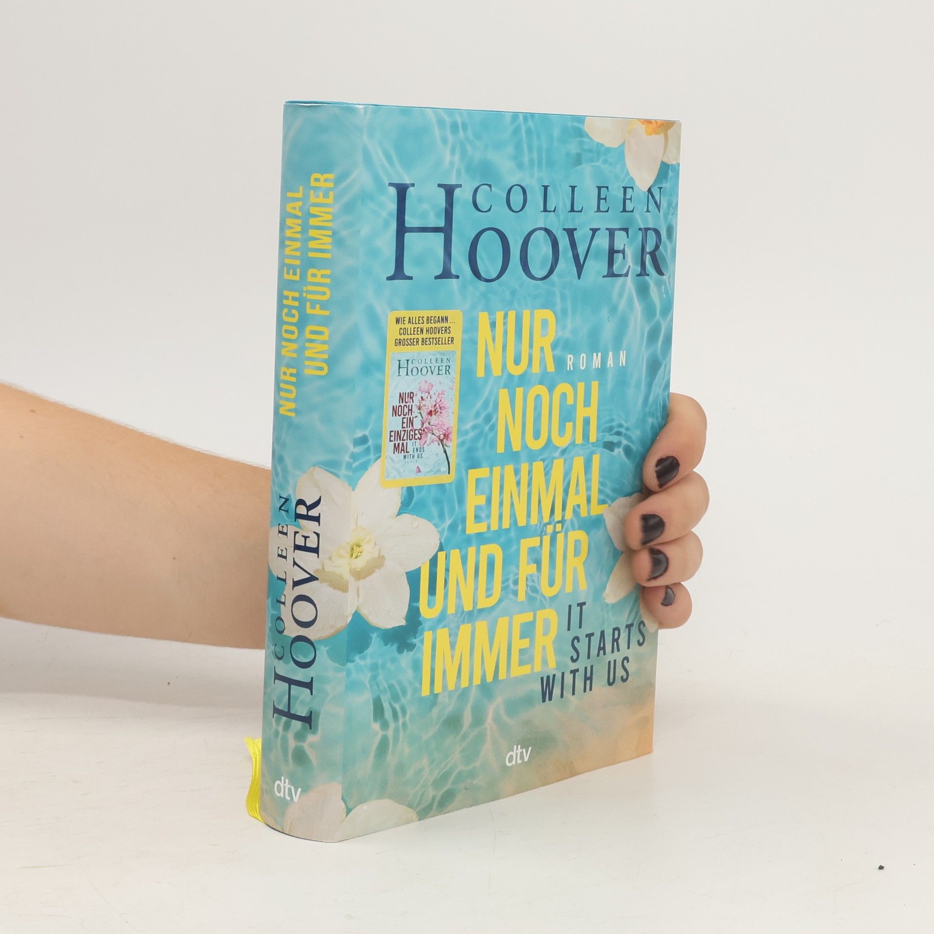 Colleen Hoover Nur noch einmal und für immer