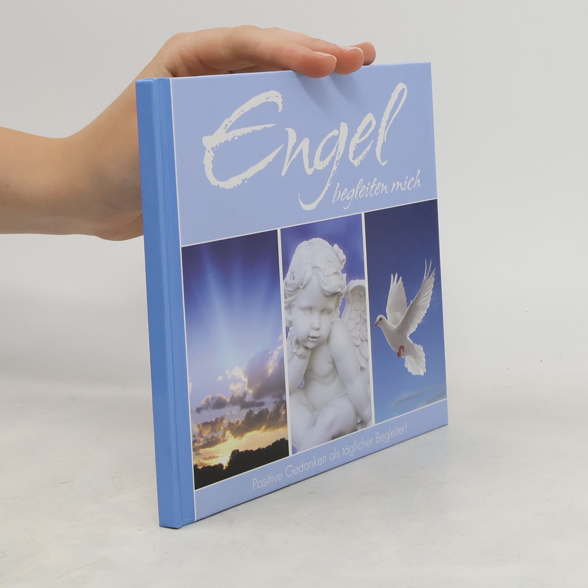 Collectif d'auteurs Engel begleiten mich