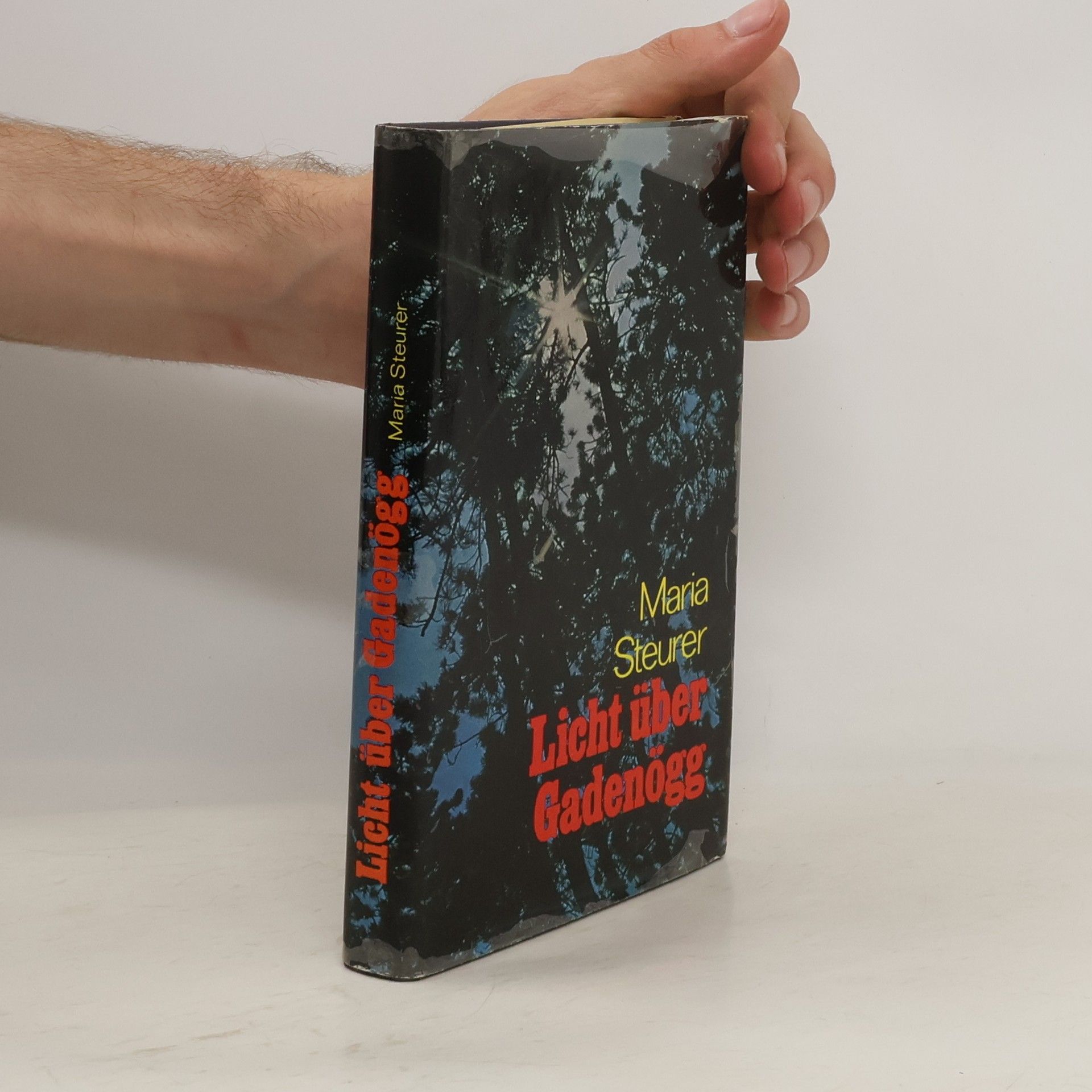 Maria Steurer Licht über Gadenögg