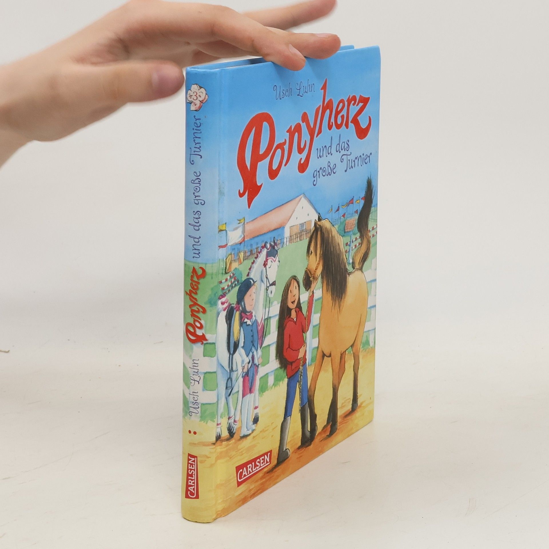Usch Luhn Ponyherz und das große Turnier