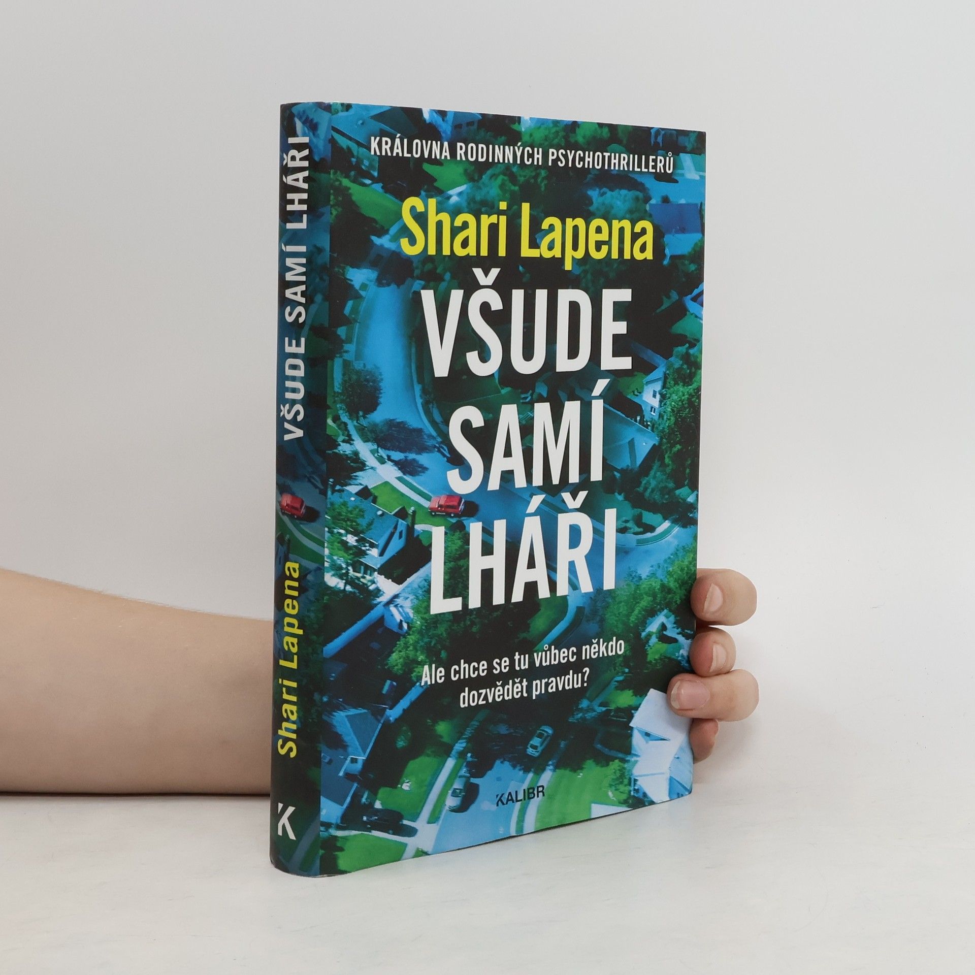 Shari Lapena Všude samí lháři