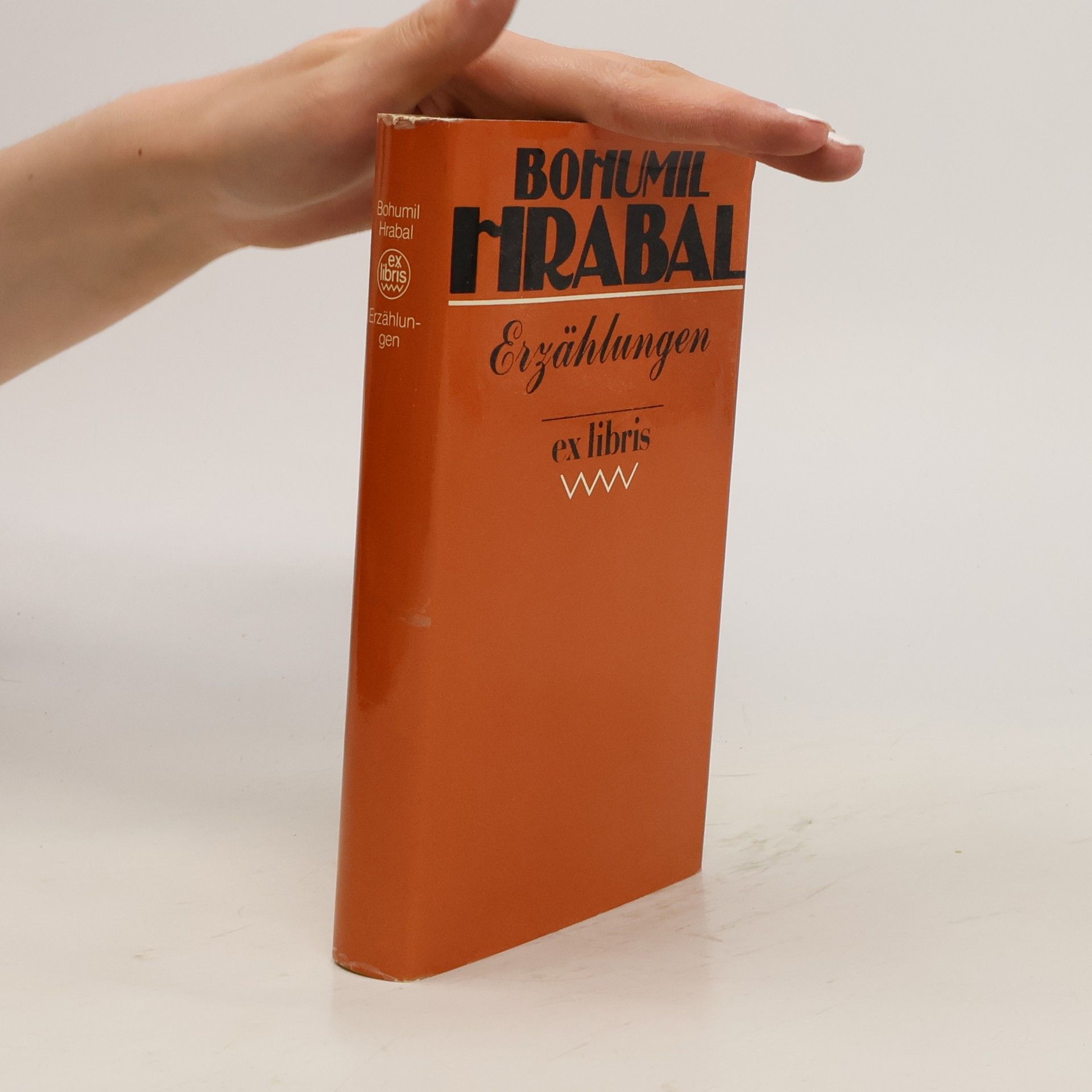 Bohumil Hrabal Erzählungen