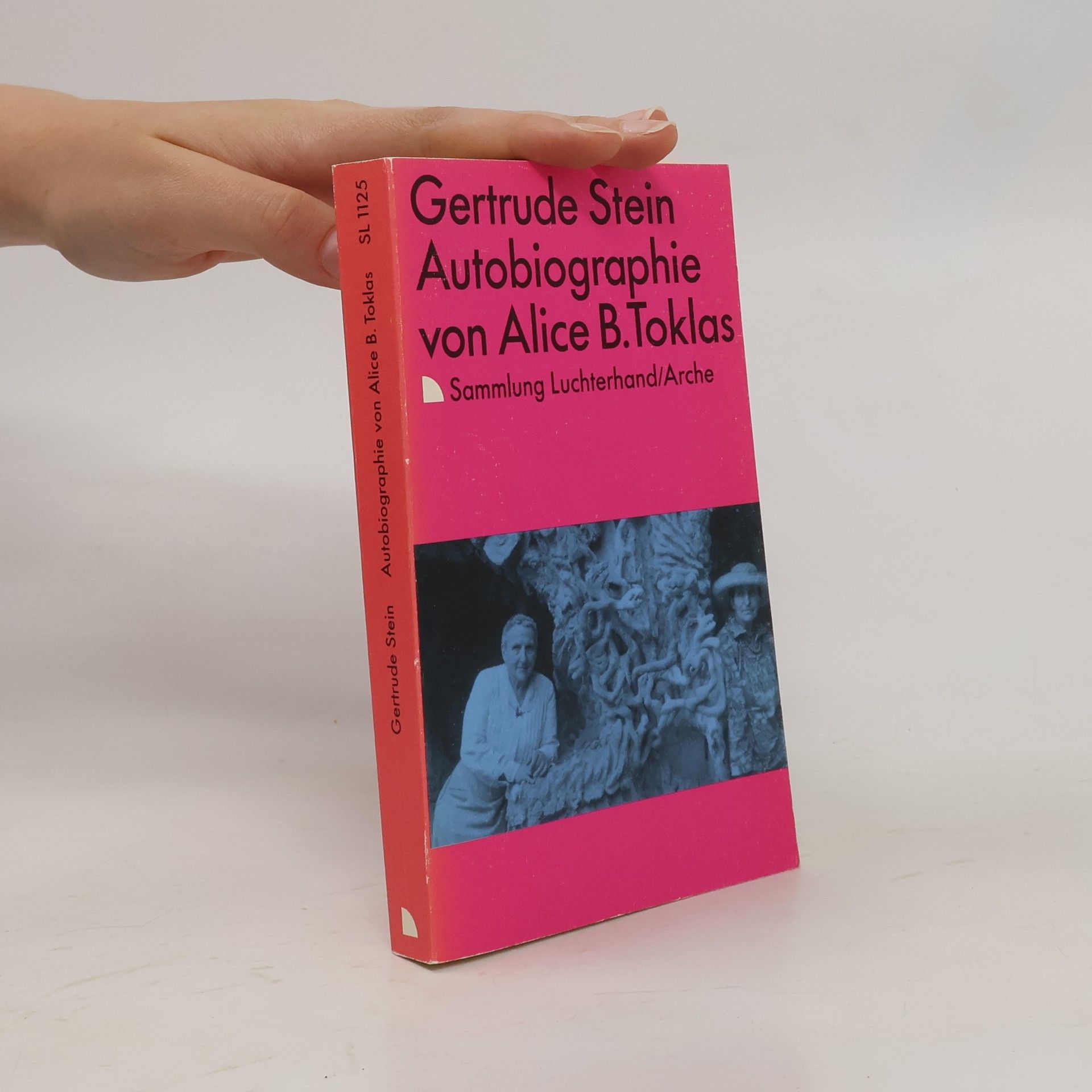 Gertrude Stein Autobiographie von Alice B. Toklas